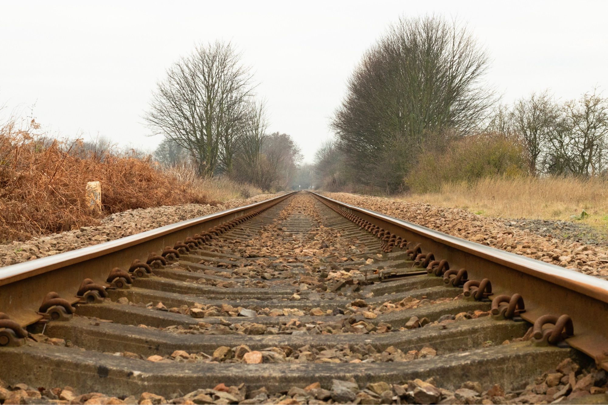 Picture taken low between rural railway lines