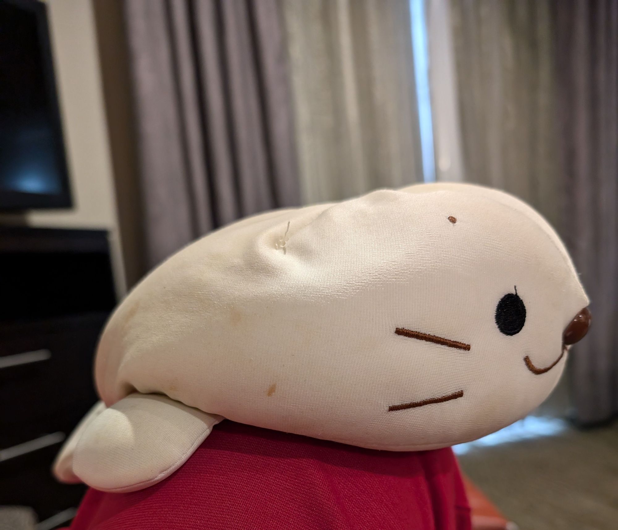 A squishie seal plushie resting on my knee