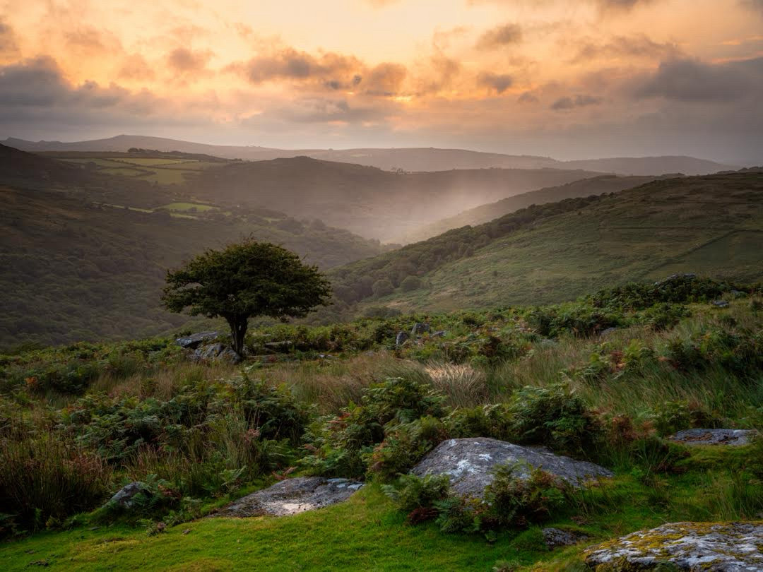 Rain disappears into a valley in the distance as the sun climbs above the Dartmoor landscape.