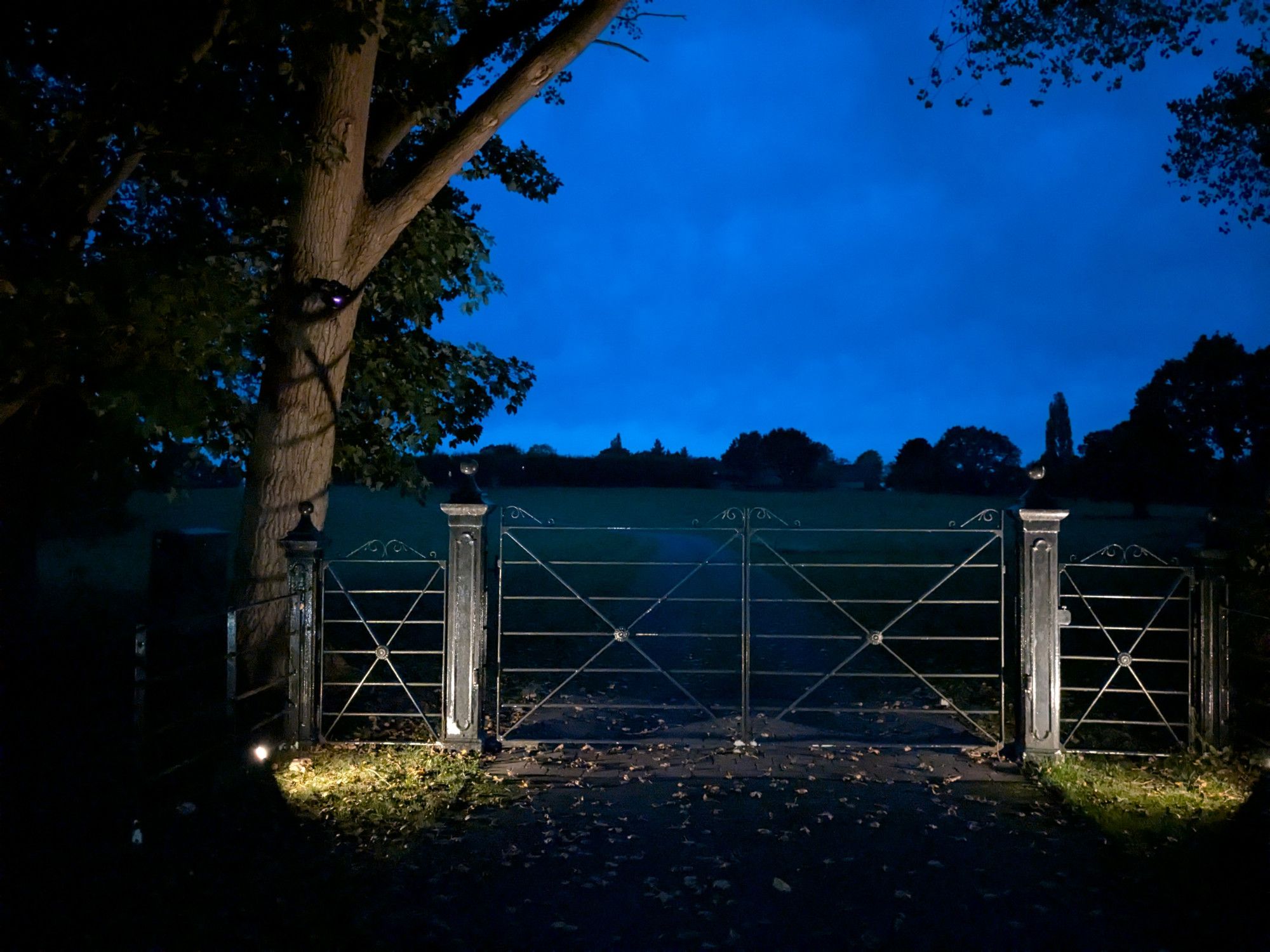 An iron gate across a driveway. The driveway heads up a slight hill, with trees on the summit. On either side of the gate are smaller gates for people. The gate is illuminated by spotlights; the sky over the hill is cloudy, some hour of twilight.