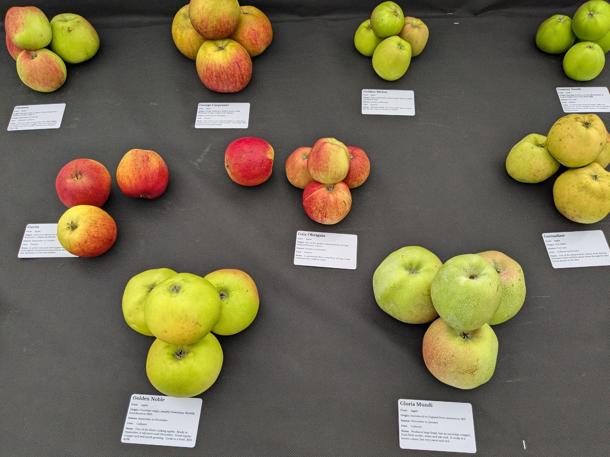 Several clusters of apples - one knocked over by a delinquent browser - each with an information card, on a bench.