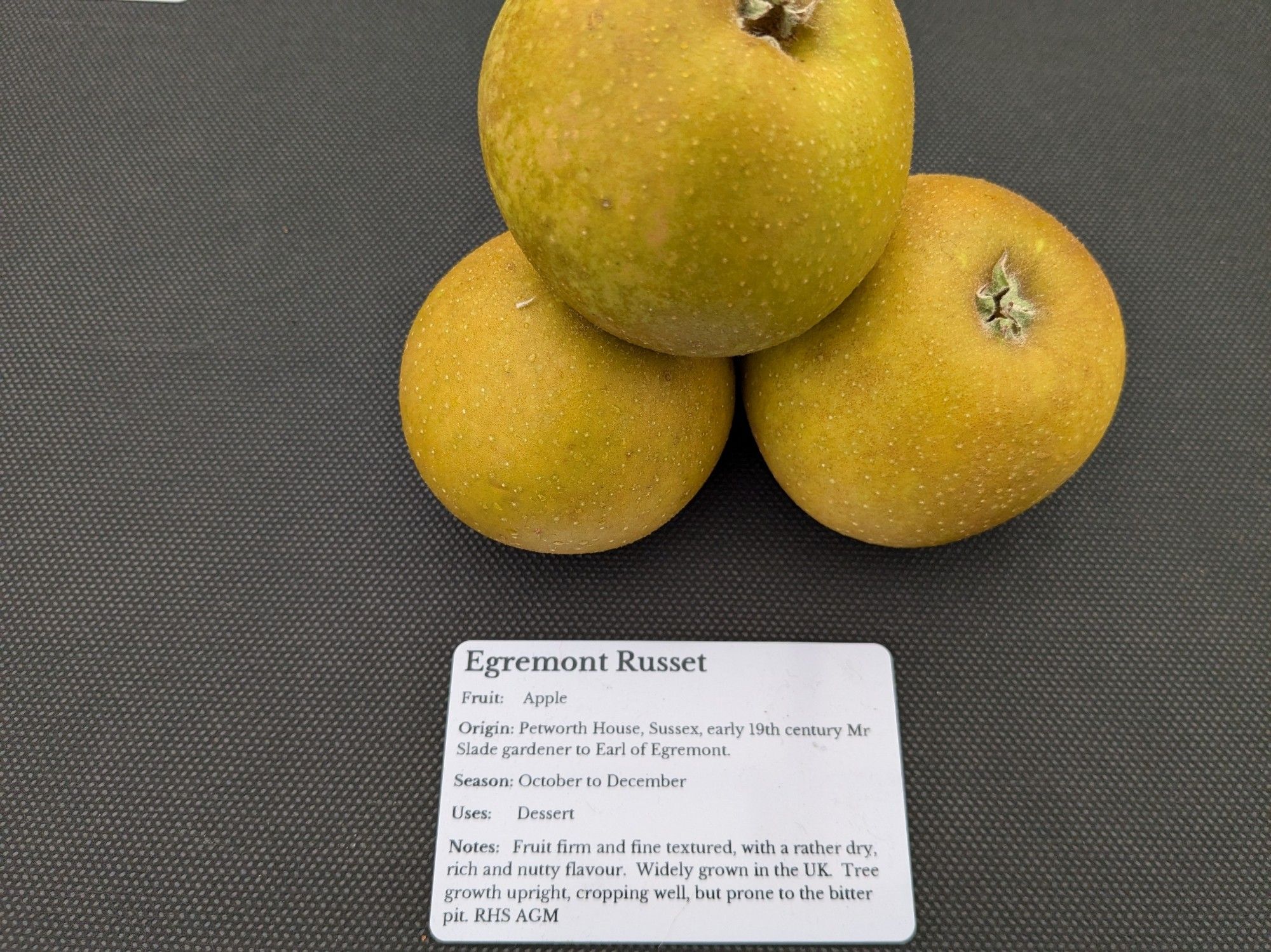 A cluster of four Egremont Russet apples, with an information card.