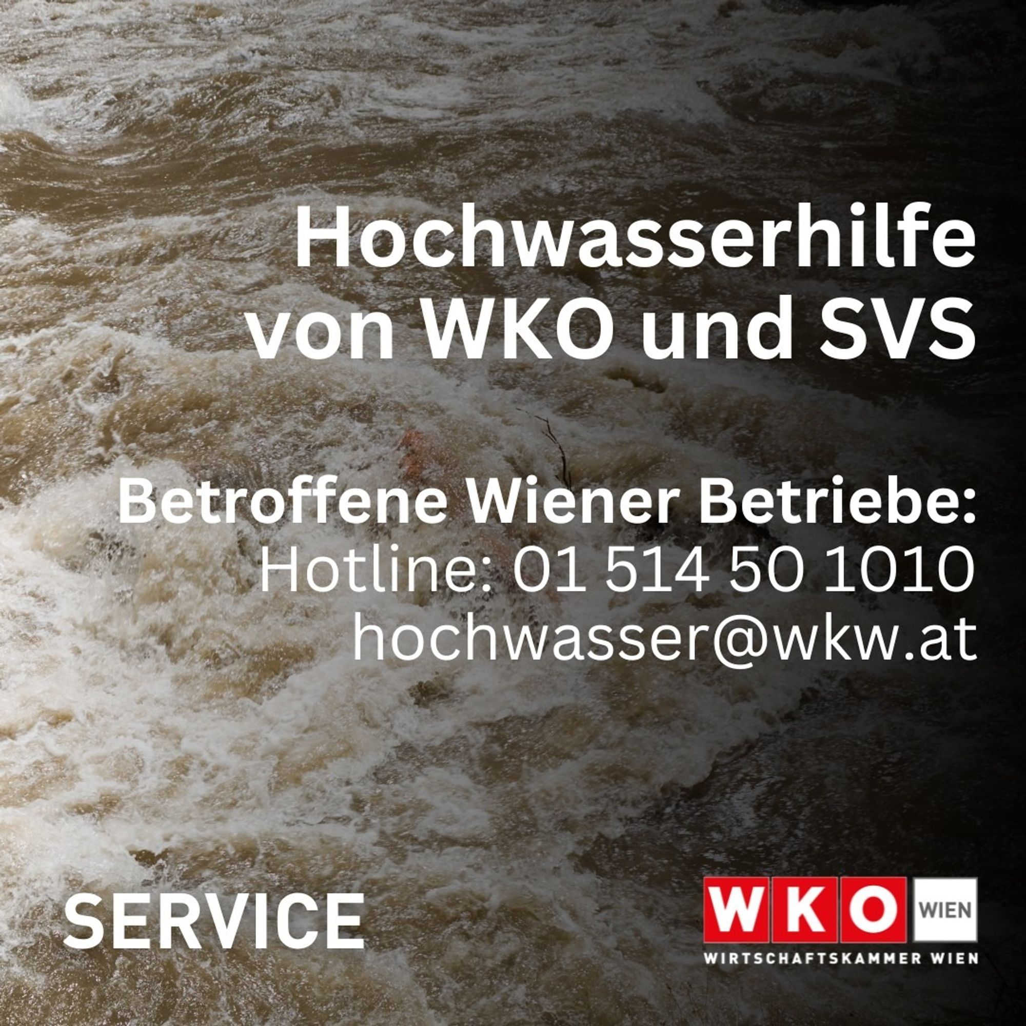 Hochwasserhilfe von WKO und SVS
Betroffene Wiener Betriebe
Hotline 01 514 50 1010
hochwasser@wkw.at