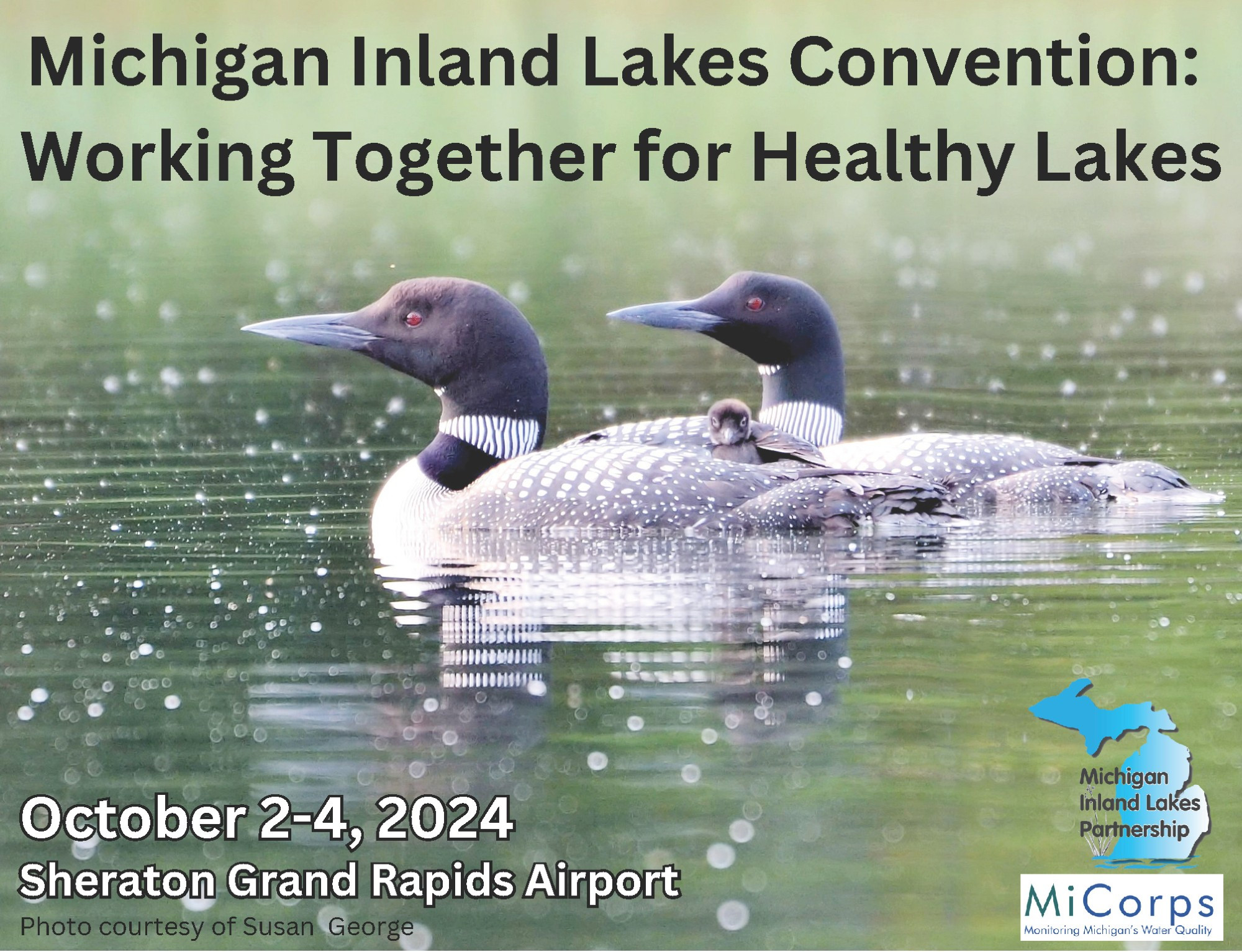 Photo of a pair of loons with a baby loon on one adult's back, floating in a lake. Text reads, "Michigan Inland Lakes Convention: Working Together for Healthy Lakes. October 2-4, 2024. Sheraton Grand Rapids Airport. Photo courtesy of Susan George."