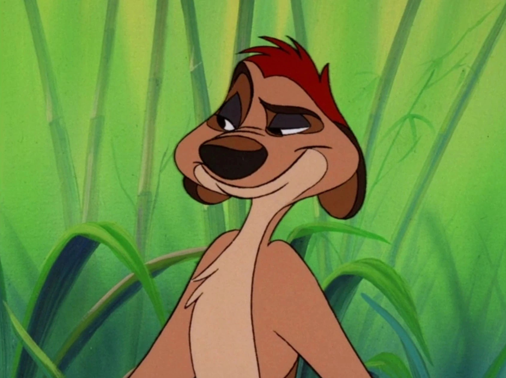 Timon, an anthropomorphic meerkat from The Lion King. He's standing up and looking off-screen with an eyebrow cocked. His fur is brown and he's got reddish hair