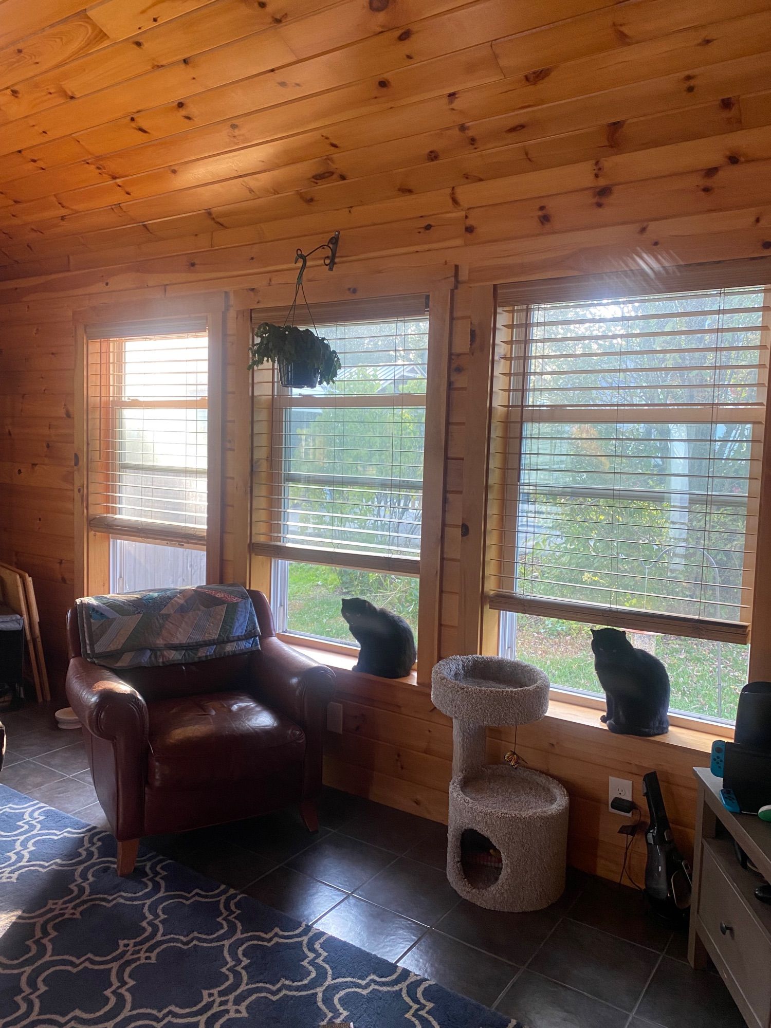 Two black cats sit in a window. One cat is sitting in a window close to a gray tv stand. The second black cat is sitting in the second window, which is farther away.