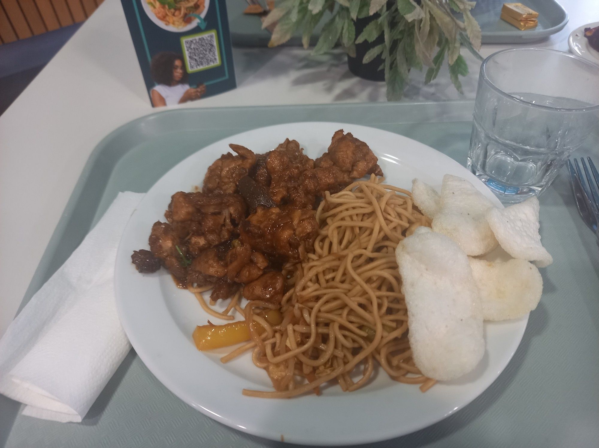 A plate of beige slop masquerading as Chinese food.