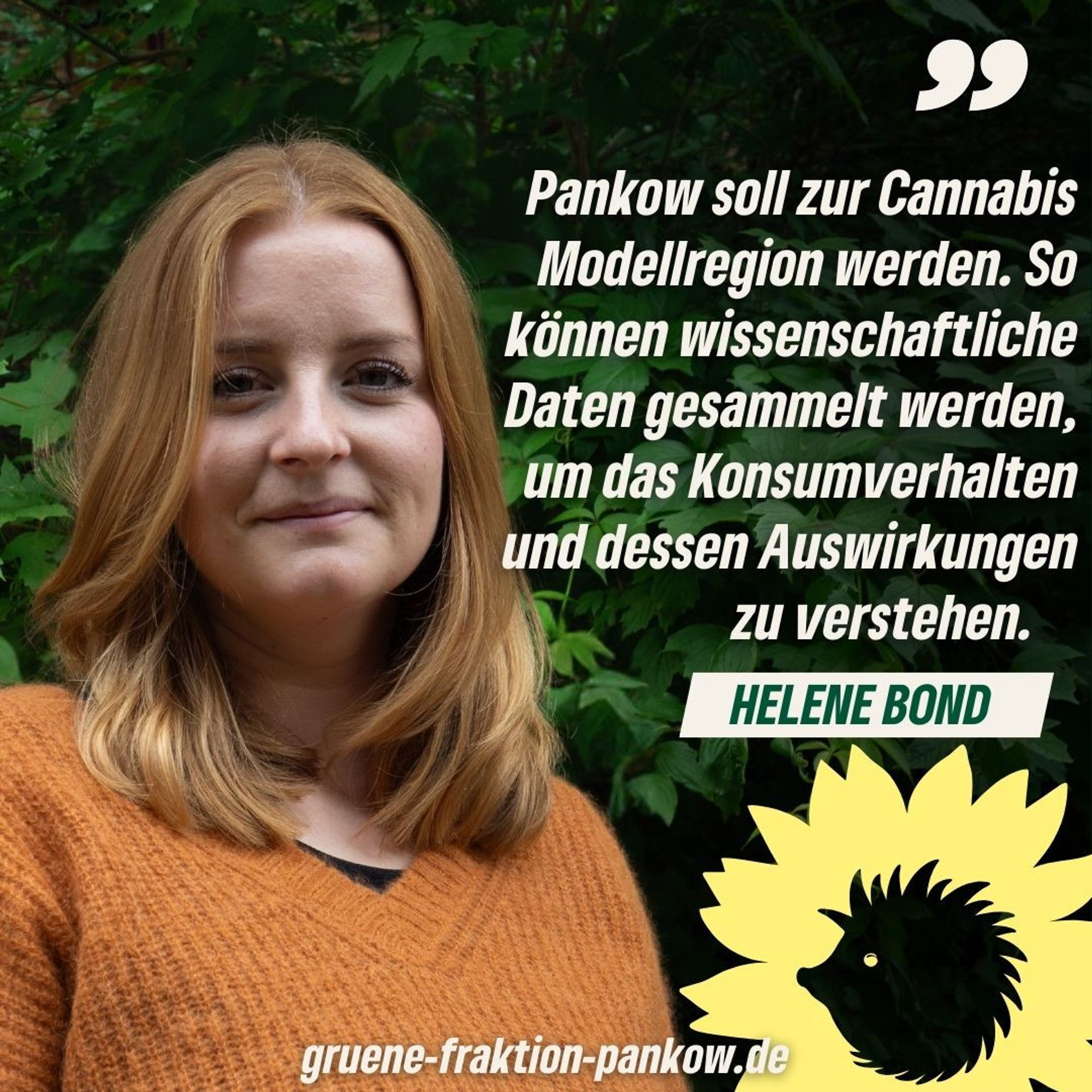 Zu sehen ist ein Foto von Helene Bond und daneben ein Zitat von ihr:  "Pankow soll zur Cannabis Modellregion werden. So können wissenschaftliche Daten gesammelt werden, um das Konsumverhalten und dessen Auswirkungen zu verstehen."
Darunter der Schriftzug: gruene-fraktion-pankow.de