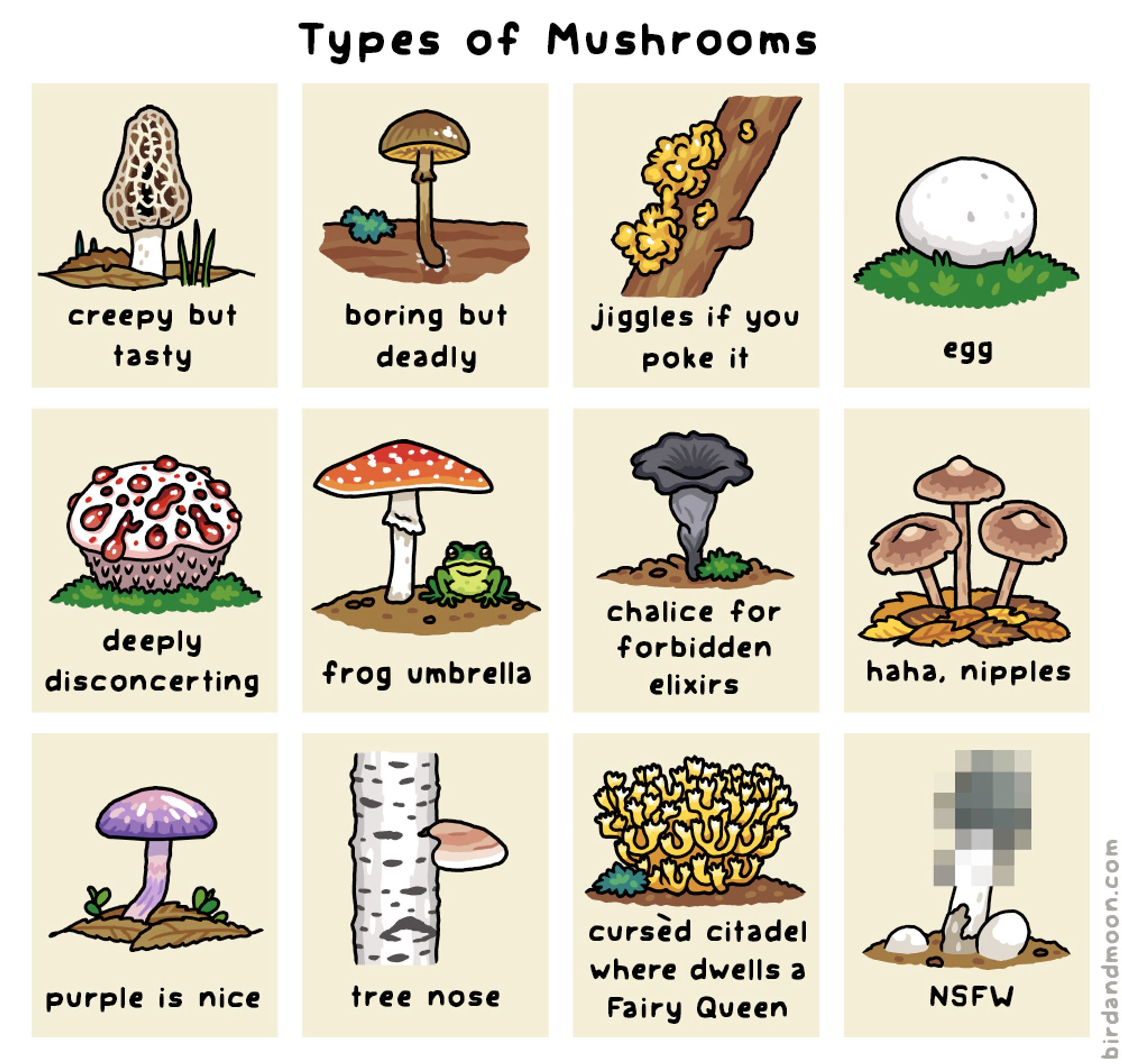 A comic titled "Types of mushrooms" with 12 mushroom species. A wrinkly-looking morel is labeled "creepy but tasty". A brownish deadly galerina is labeled "boring but deadly". A witch's butter on a branch is labeled "jiggles if you poke it". A large puffball is labeled "egg". A creepy red-dripping bleeding tooth fungus is labeled "deeply disconcerting". A fly agaric with a green treefrog sitting under it is labeled "frog umbrella". A black chanterelle is labeled "chalice for forbidden elixers". Three straight-stemmed entolomas are labeled "haha, nipples". A bright purple viscid violet cort is labeled "purple is nice". A birch polypore sticking out of a birch trunk is labeled "tree nose". A complex yellow-tpped coral fungus is labeled "cursed citadel where dwells a fairy queen". A Ravenel's stinkhorn is pixellated at the top for your safety, and labeled "NSFW".