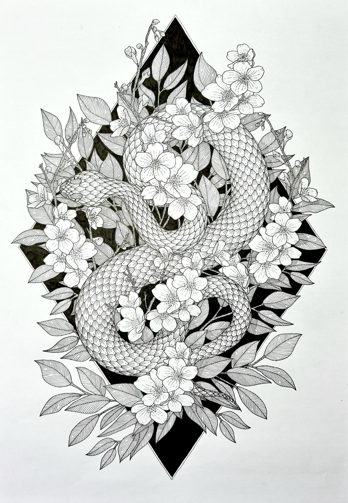 A black ink illustration of a snake and cherry blossoms on a black diamond shape.