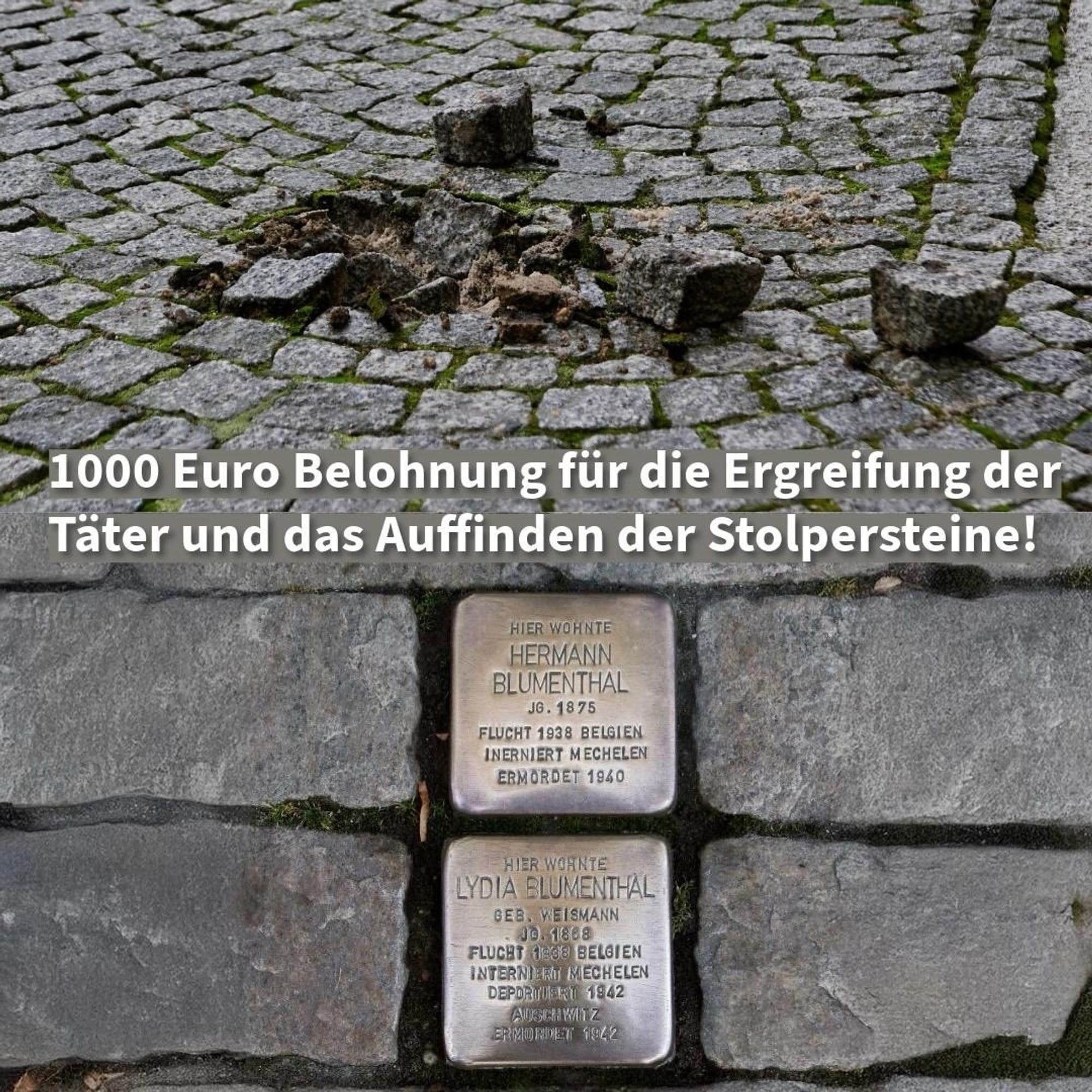 Foto von zwei Zeitzer Stolpersteinen und der hinterlassenen Lücke. Dazu der Text: “1000 Euro Belohnung für die Ergreifung der Täter und das Auffinden der Stolpersteine!”