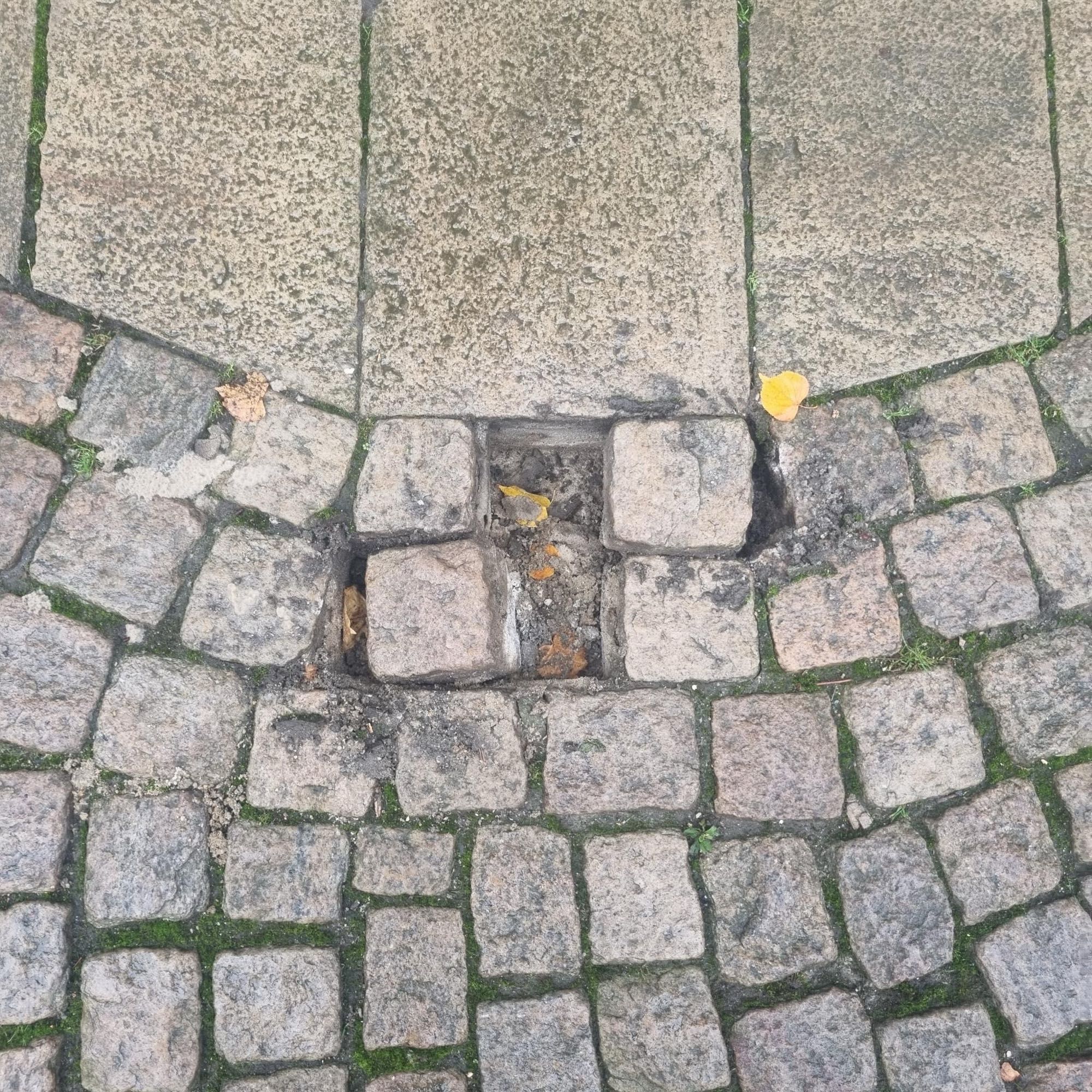 Was im Bild fehlt: Stolpersteine