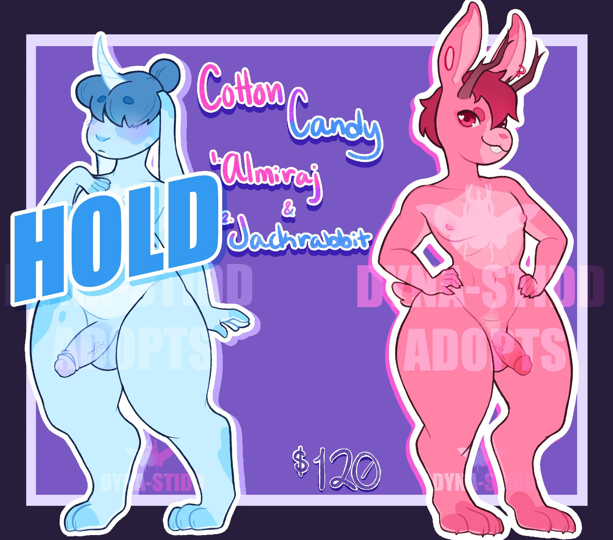 Two nude furries on opposite sides of a purple square background. Text between them reads "Cotton Candy. 1 Almiraj & 2 Jackrabbit".

The one on the left is a shortstack almiraj, a rabbit with a unicorn horn. They have wide hips and a tiny chest and waist. They are a cotton candy blue with darker blue spots on their fingers and toes, left eye and ear, right thigh, and left calf. They have darker blue hair tied into a bun and bangs over their eyes. Their horn is pale blue. Their penis is large, thick, and has an exposed vein. They appear to be shy. Text over them reads "HOLD".

The one on the right is a toned shortstack jackrabbit, with wide hips, a broader chest, and a small waist. They are a blush pink color with lighter pink spots on their chest and muzzle and darker pink spots on their muzzle, tail, toes, and for eyebrows. Their hair is blush red and short and messy, and their horns are short and reddish-brown. Their penis is short and thick with an exposed vein.