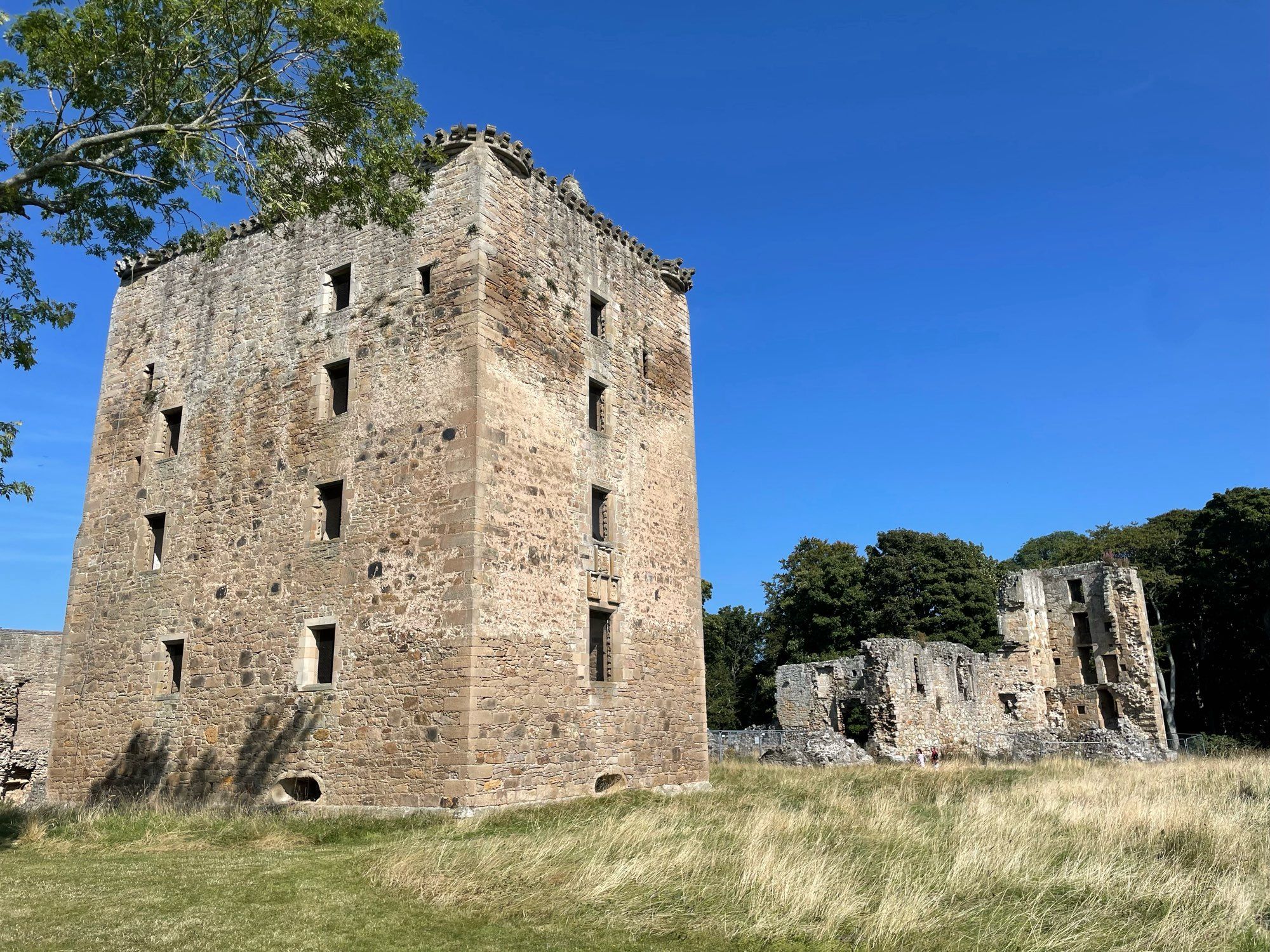 Spynie Palace, the home of the Bishops of Moray, with the enormous 15th century towerhouse in the foreground.