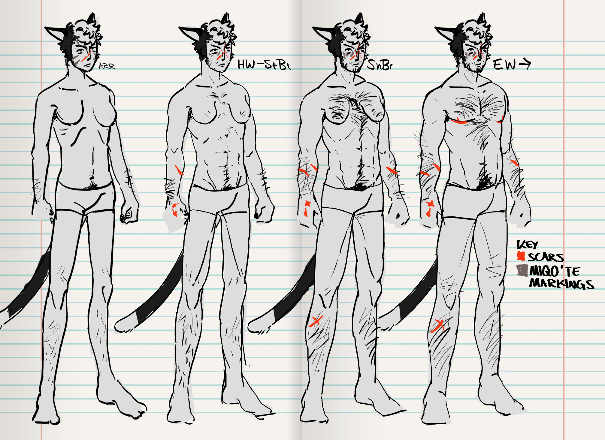 HRT timeline ideas