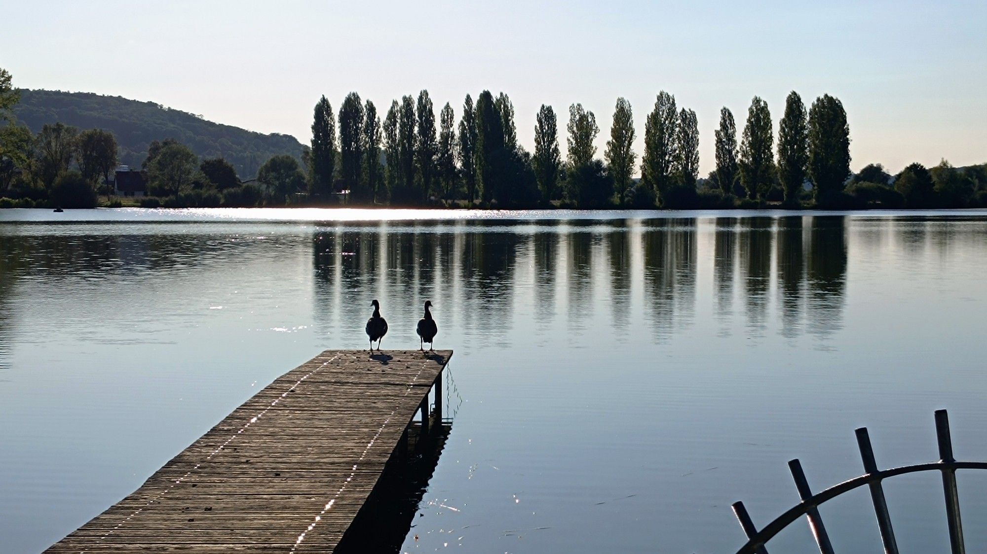 See mit Bäumen am Ufer, Steg mit zwei Enten