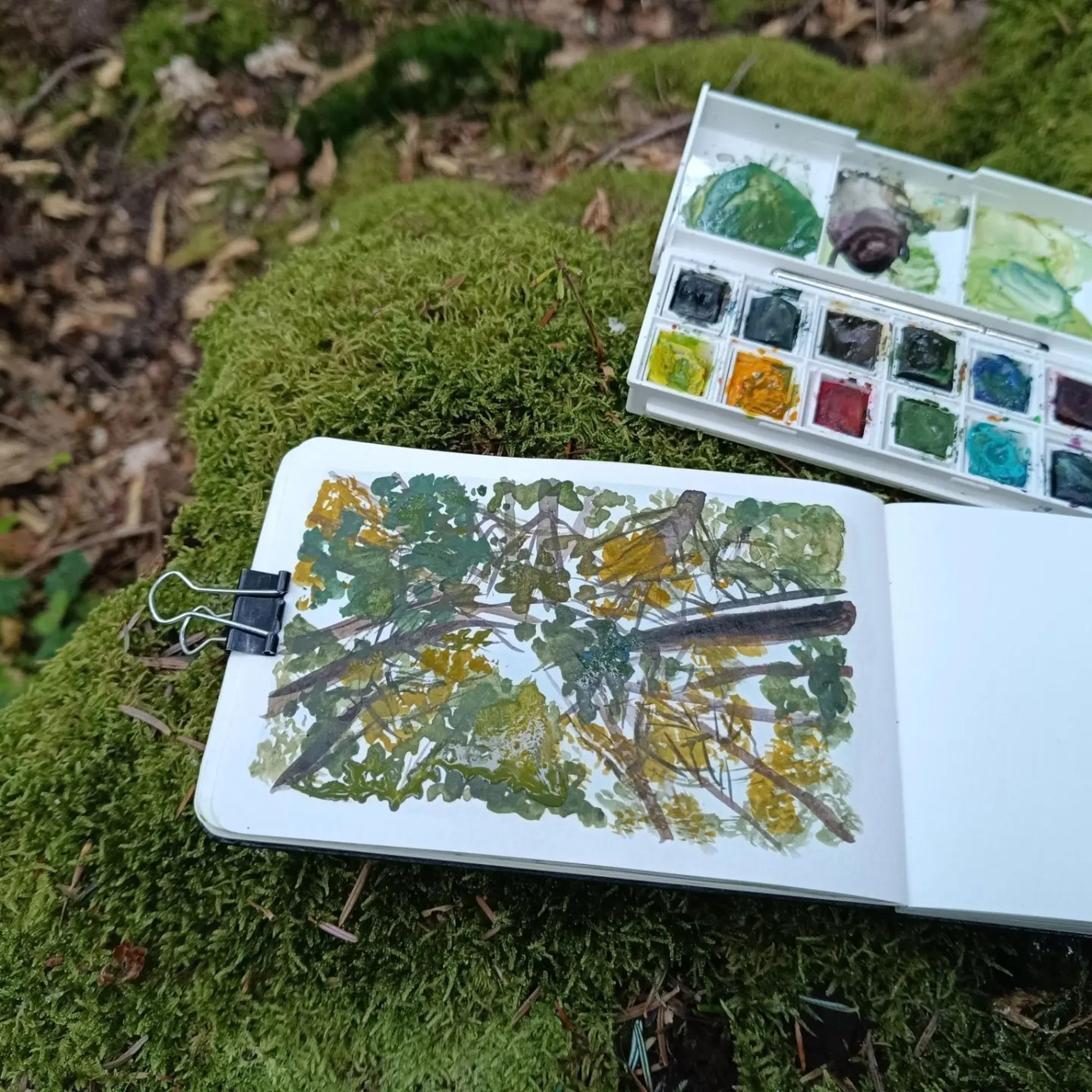 Aquarell-Sketchbook mit Bäumen von unten, liegt auf Moos neben Aquarellkasten