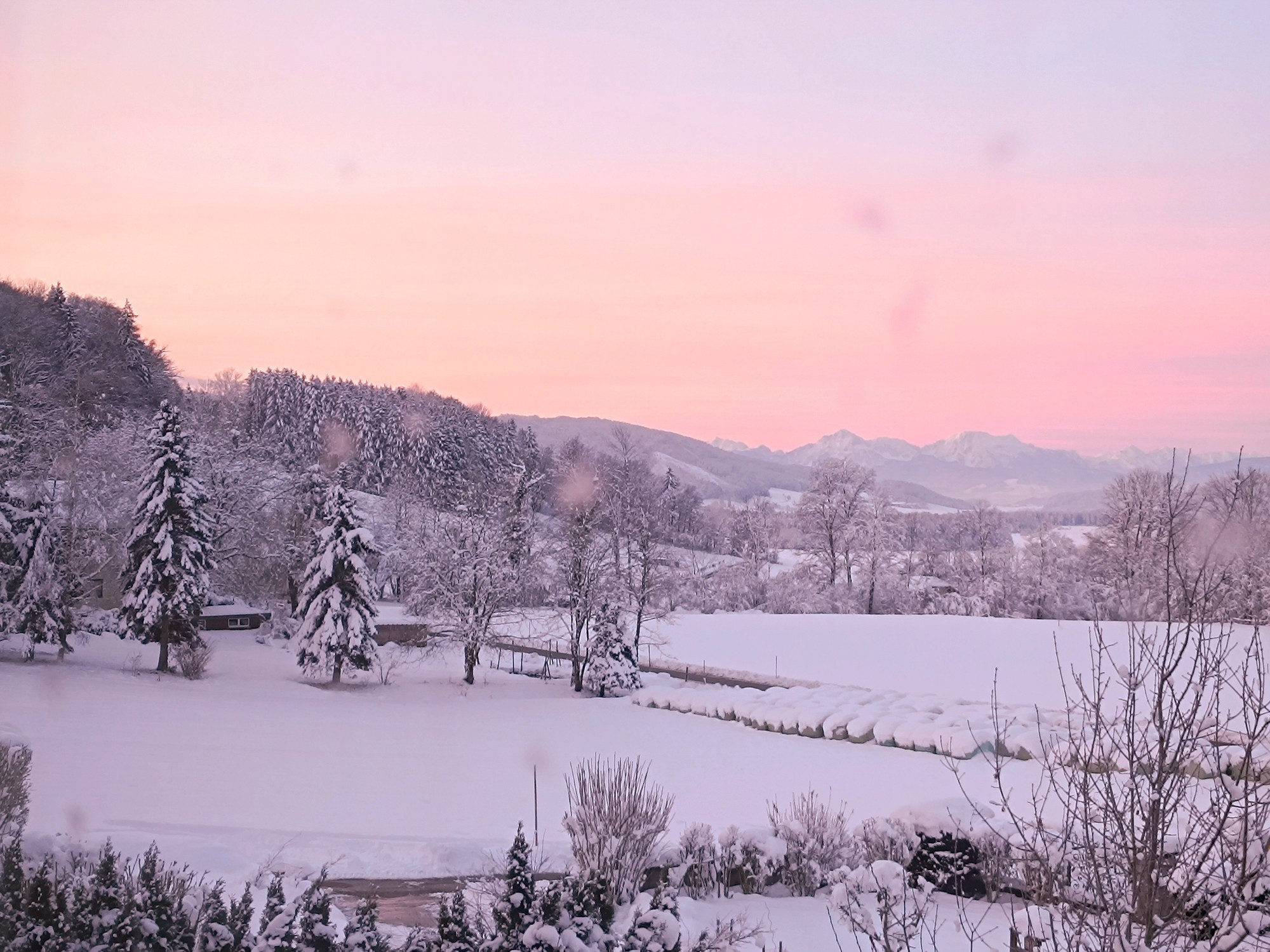 Winterlandschaft mit rosarotem Sonnenaufgangshimmel