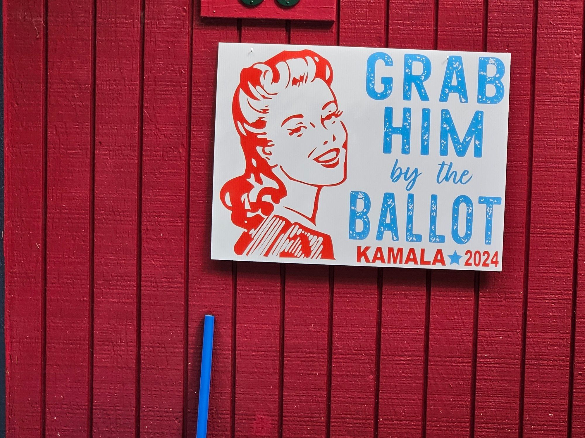 A sign reading 'Grab Him by the Ballot, Kamala 2024' with a graphic of a smiling woman in a 50s line drawing style hangs on barn-red house siding