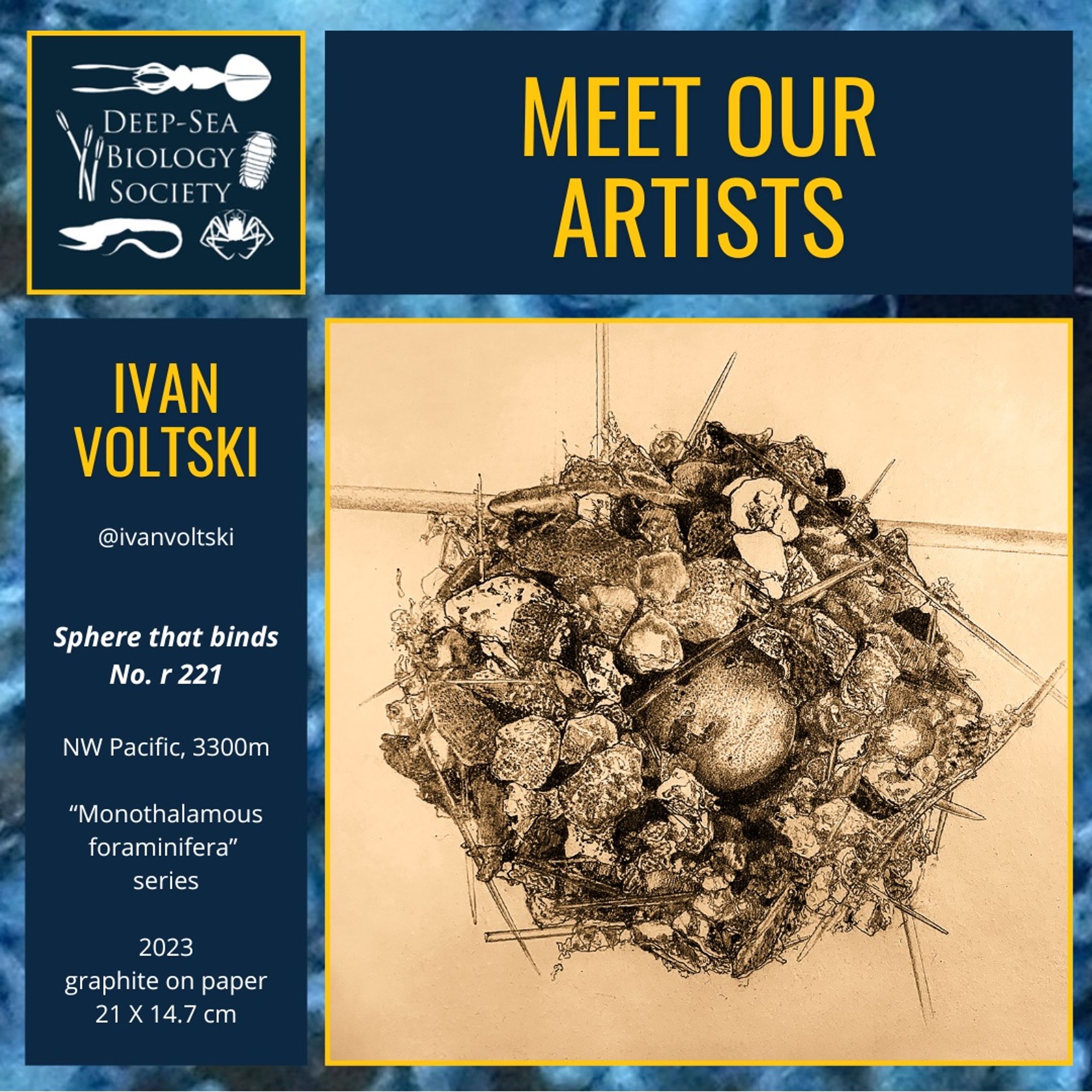 Meet our artist Ivan Voltski (@ivanvoltski). His artwork "Sphere that binds No r 221" shows a monothalamous foraminifera from the North-West Pacific at 3300m collected. It is a graphite drawing on paper. The deep-sea foraminifera looks like a birds nest, with various size of grains forming a round structure, and some needle like structures in different sizes, piercing out of the sphere.