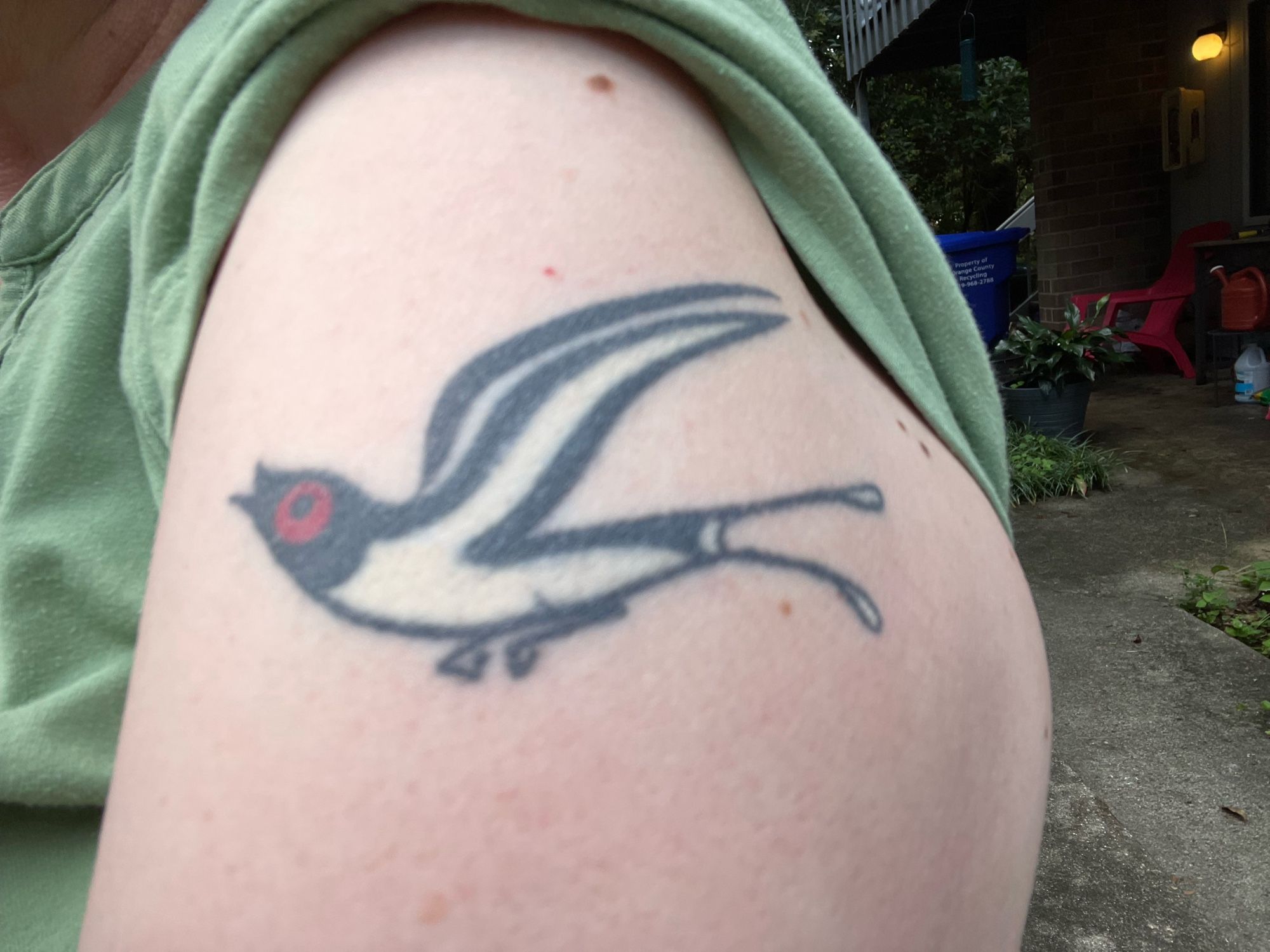 A pale upper arm with a tattoo showing a swallow. Most of it is heavy black lines, but the face is red and some details are white.