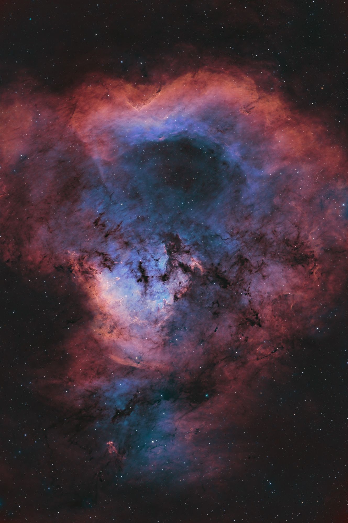 NGC 7822. Is an emission nebula and stellar nursery in Cepheus, about 2900 light years away. The image shows billowing red/orange clouds of ionized sulfur and hydrogen on the edge, and a central Blue “lake” of ionized oxygen in the middle. Young stars throughout. 