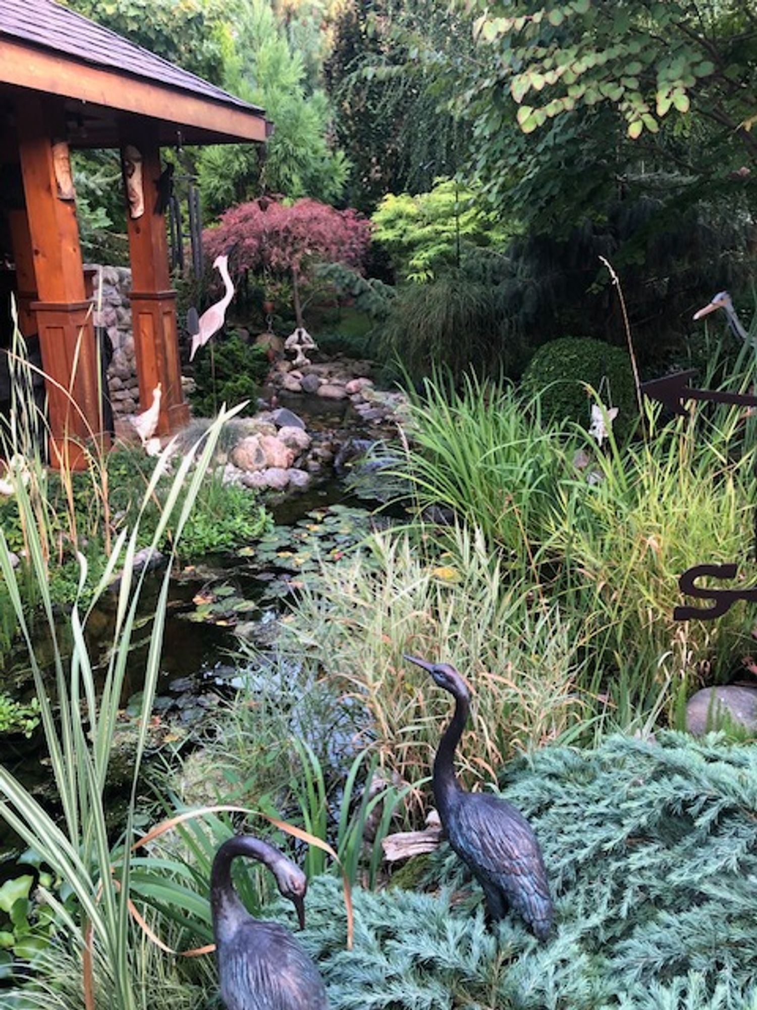 Next to wood gazebo, a pond, edged by rocks of various sizes, partially covered with lily pads, and surrounded by grasses and pond plants. As well, a number of trees and bushes with no shortage of garden decor in a setting where 10 years ago when we moved here, the entire backyard was just lawn.