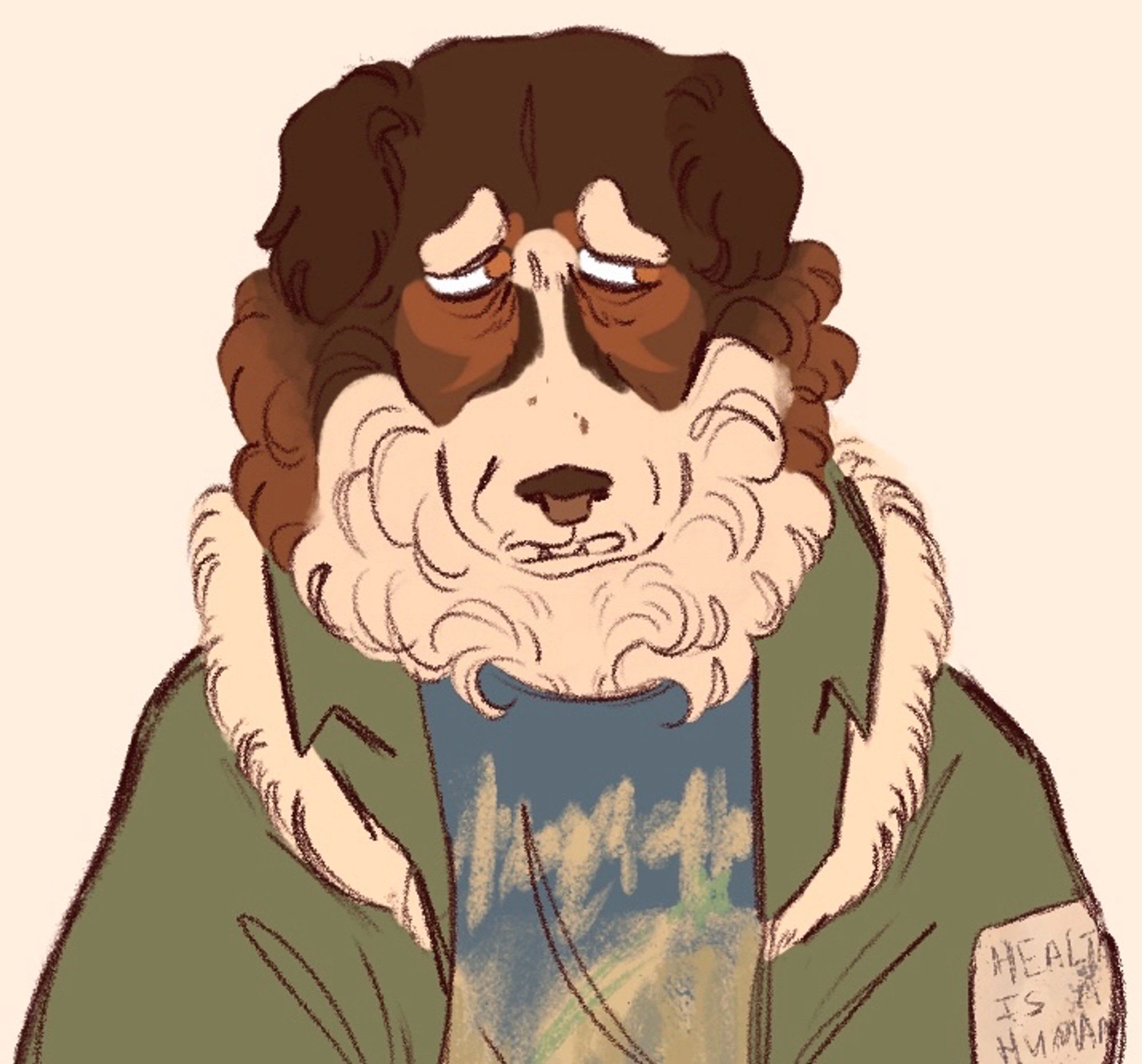 digital art of a fat, muscular middle aged anthro sheepdog with dark brown, tan, and white fur, brown eyes, and a subtle butterfly shape over her eyes, wearing a green parka with a patch on the shoulder that says "healthcare is a human right" and a faded teal T shirt with indecipherable yellow writing on it and a green shooting star over a vague cityscape.