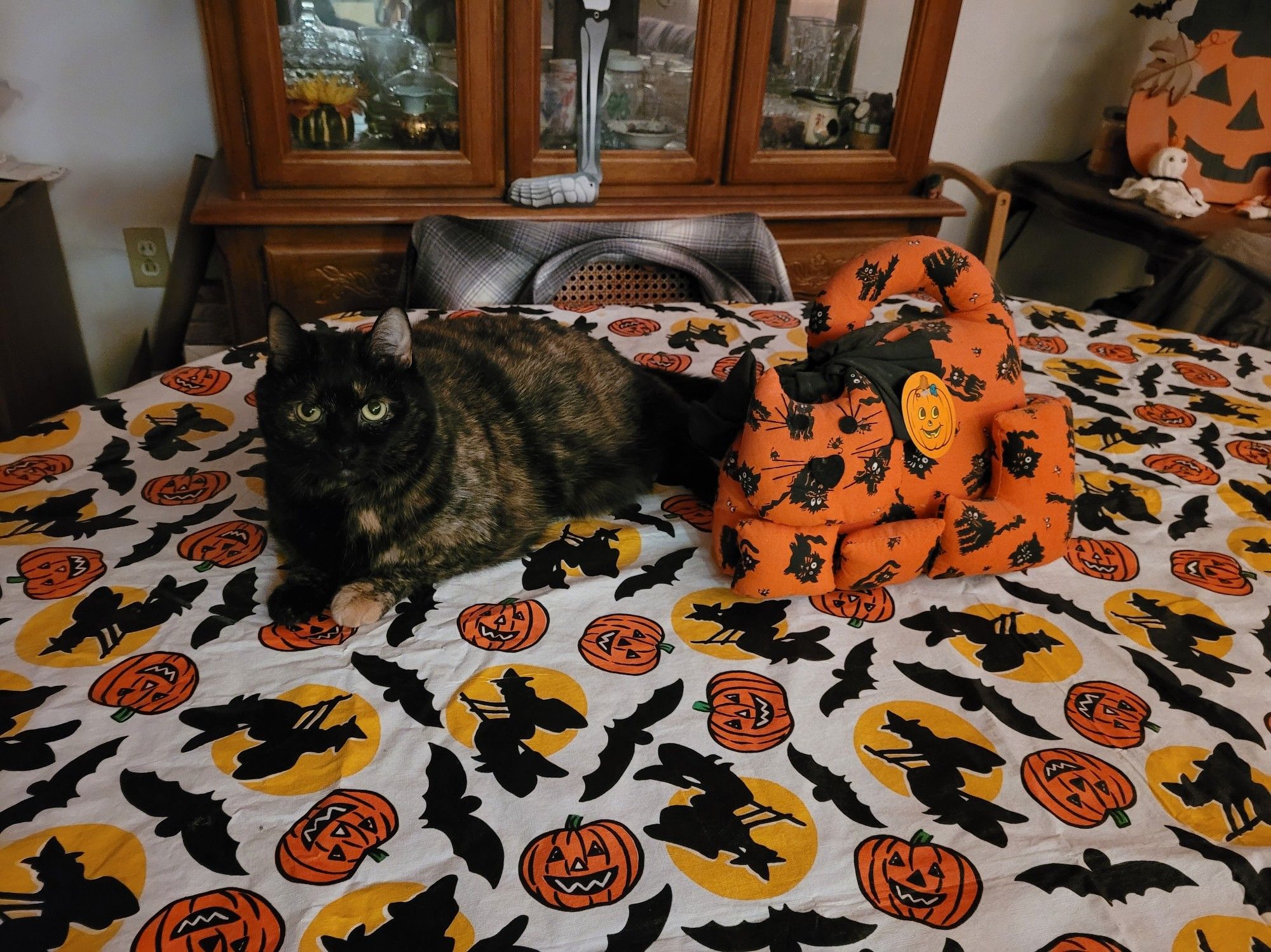 A photo of a tortoise shell calico cat laying on a dining room table next to a decorative plush cat. The plush cat is a vintage piece from the 90s, the style trying to emulate a 2-dimensional form. The fabric it's made of is orange with black cartoon cats printed on it. There is a black bow around the  plush cat's neck but the bow itself is above the head (back of the neck). The tablecloth is 90s vintage plastic with the print of jack-o-lanterns, bats, and a silhouette of a witch flying on her broom in front of a full moon. In the background, centered but cut mostly out of frame, is a China cabinet with a paper skeleton on it, but you only see the foot because of the pose. To the right in the background is an antique oak table with 2 small ghosts my brother and I made when we were kids, made from white wash cloths. Behind the ghosts is a flat, wooden standee of a black cat perched on a jack-o-lantern. Most of this is cut out of the corner of the frame.