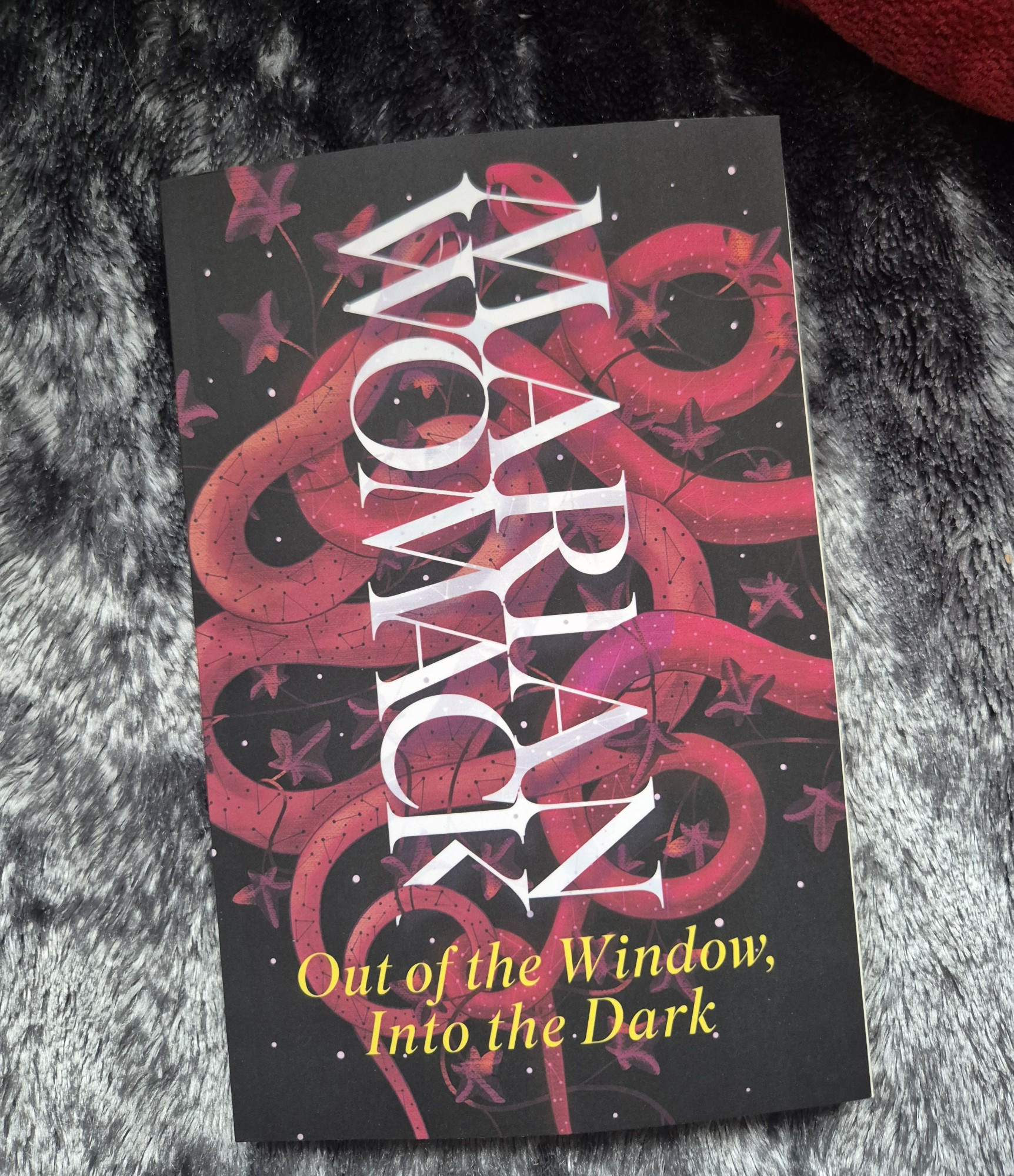 A short story collection with a cover of red, intertwining snakes. The author's name, Marian Womack, runs down the centre in white, with the title in yellow beneath. 'Out of the Window, Into the Dark'.