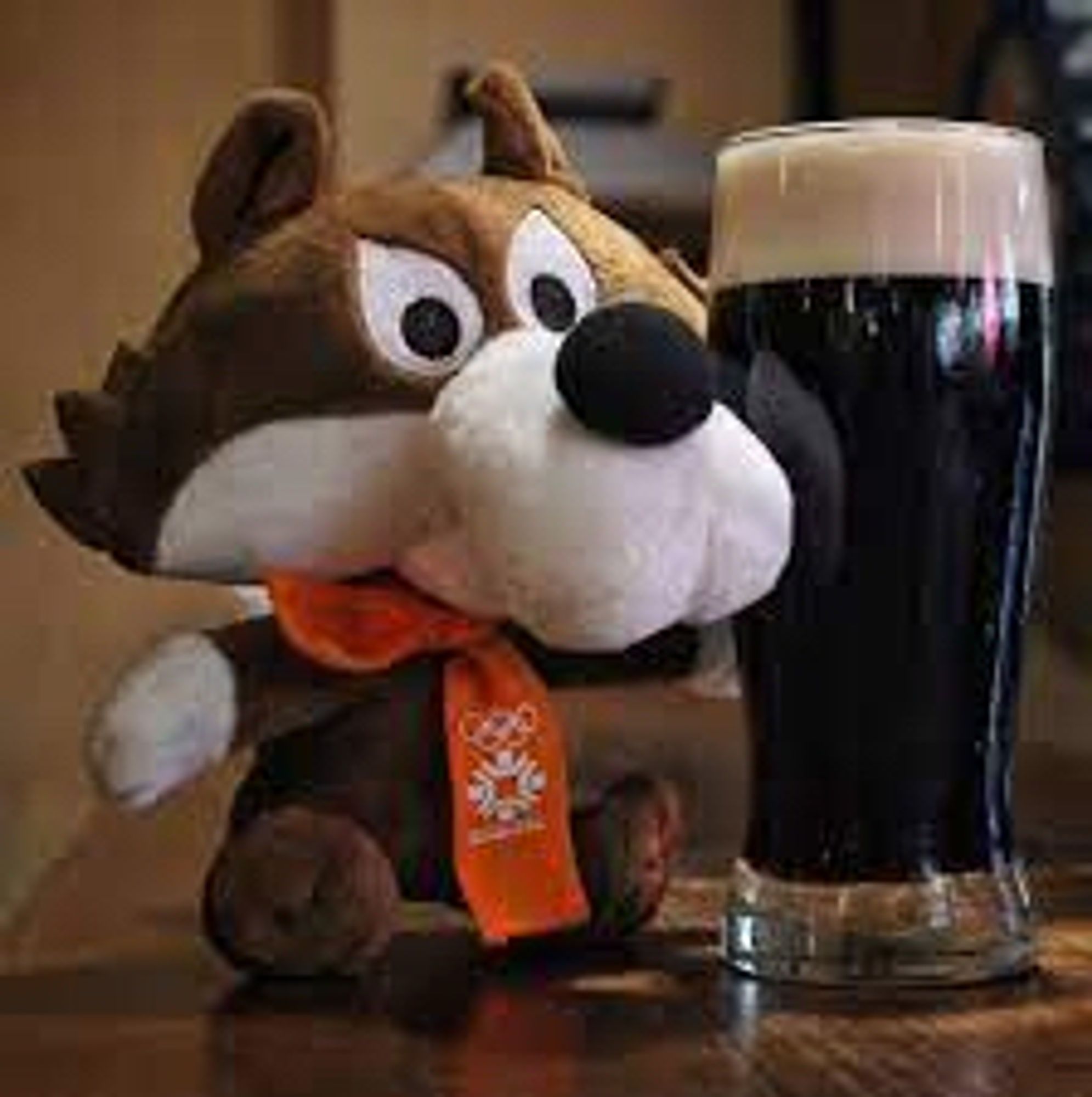 A plushie of the 1984 Winter Olympic mascot, the wolf named Vučko, sitting on a bar next to a pint of stout ale