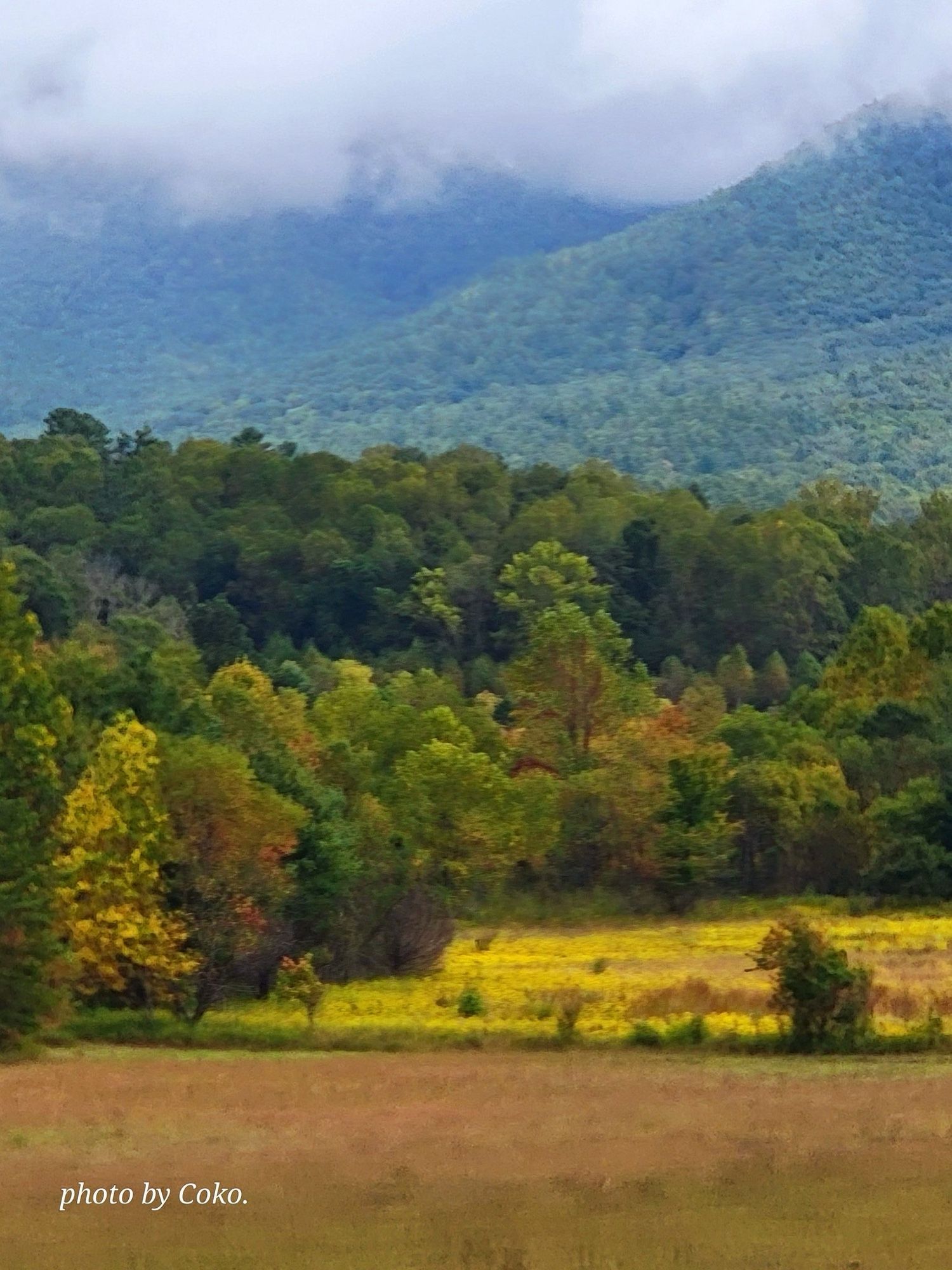 My view traveling through the Great Smoky Mountains.