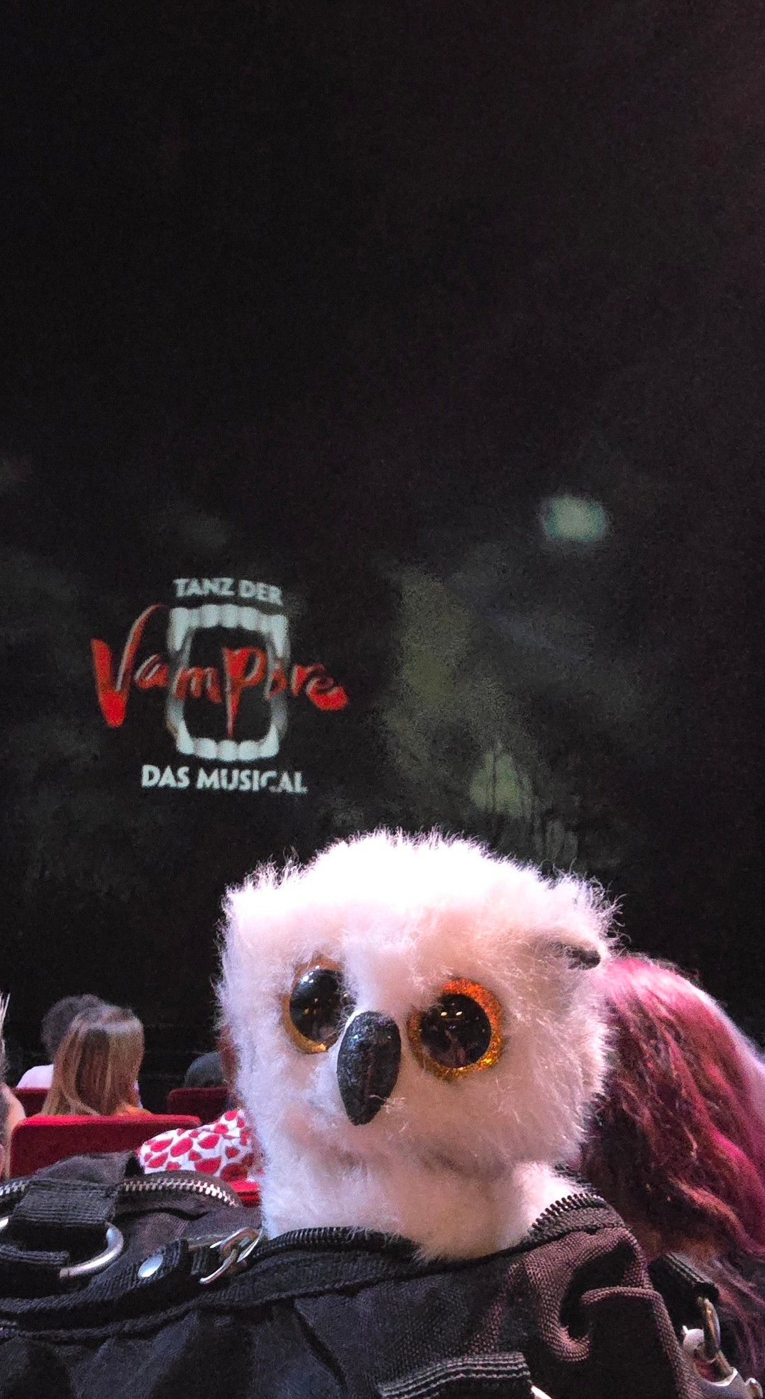 Hedwig die weiße Plüscheule vor dem Theatervorhang mit Aufschrift "Tanz der Vampire "