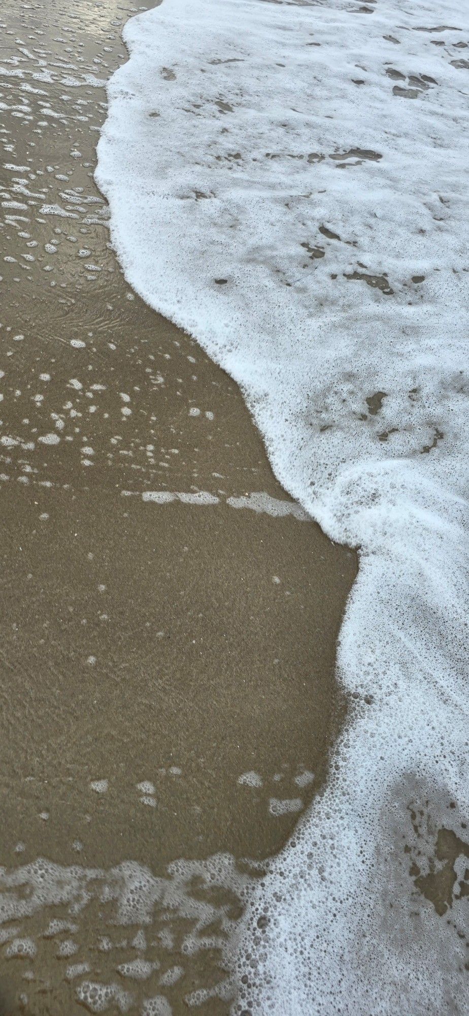 Links Sandstrand mit Muscheln und rechts eine kleine Welle mit Gischt.