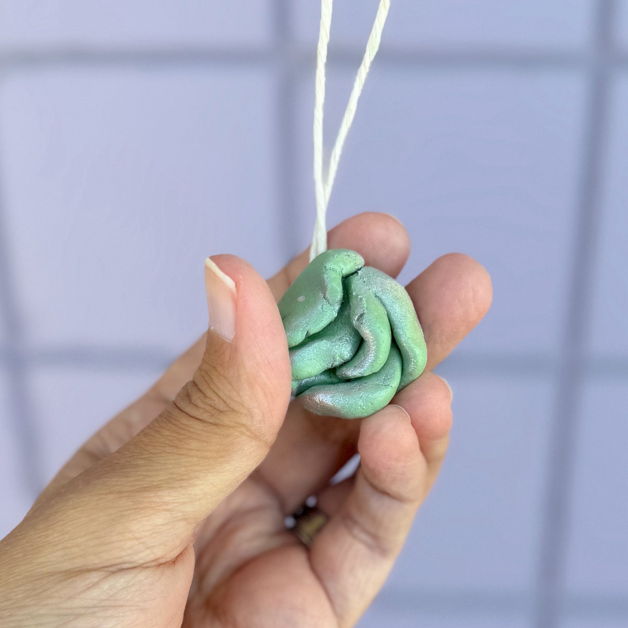 3d hanging succulent