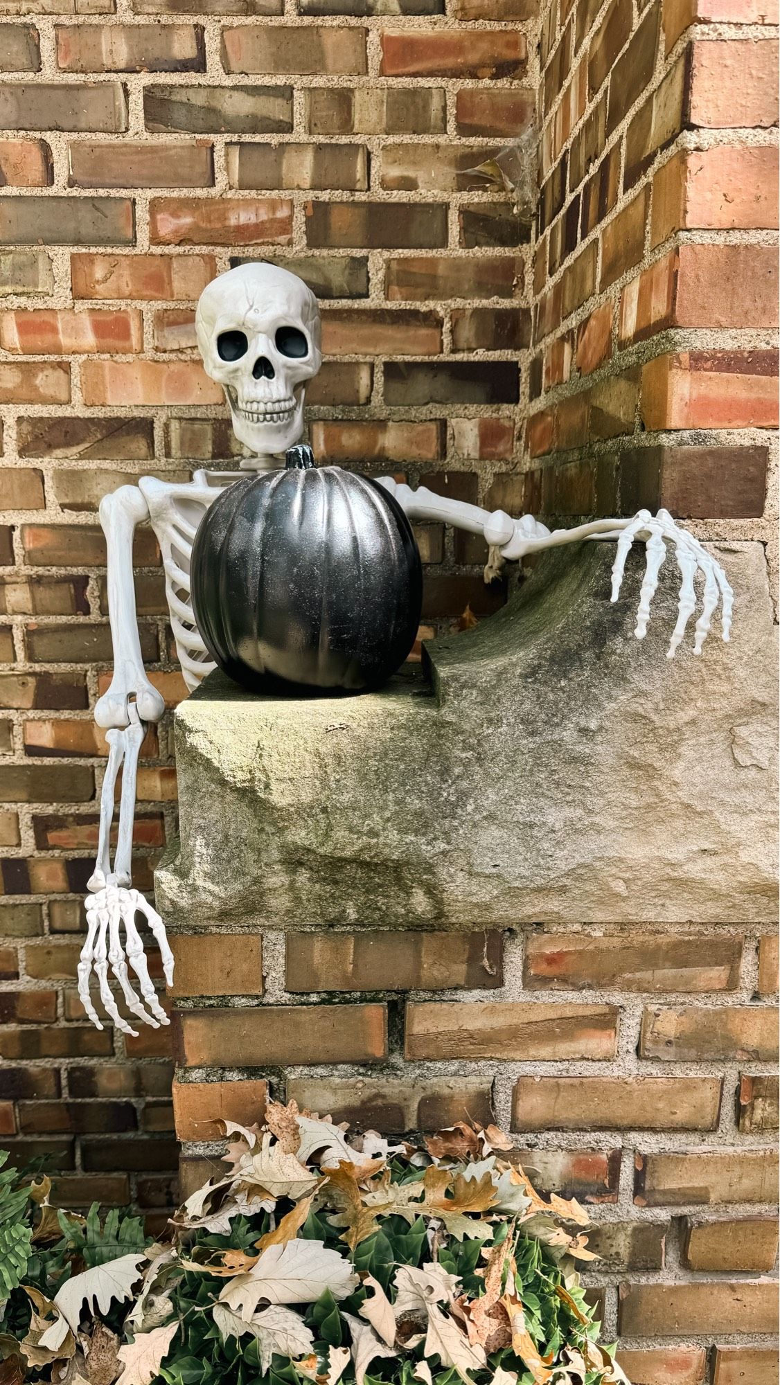 Skeleton peeking around a black pumpkin