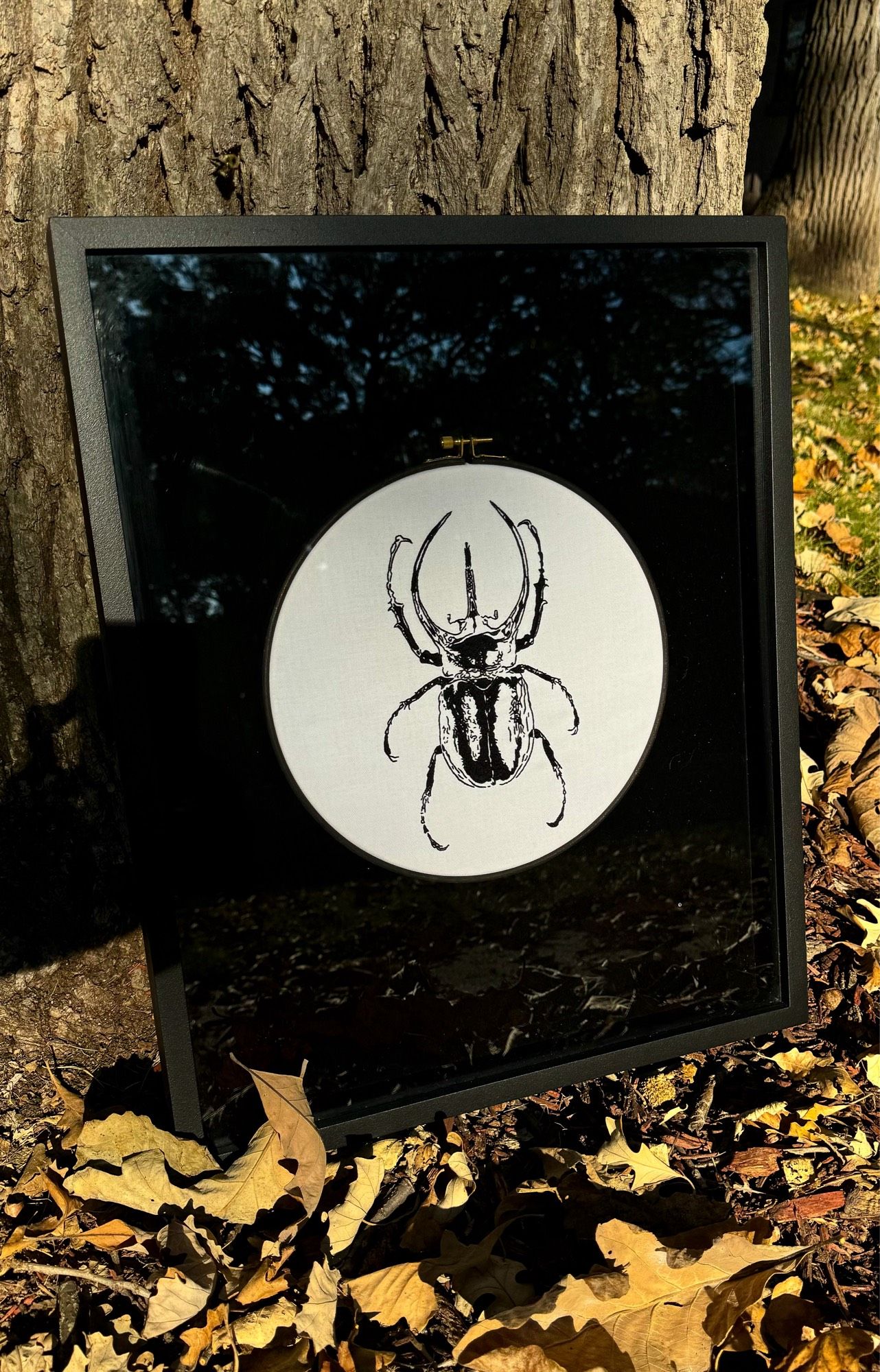 A large black and white embroidery of a beetle in a shadow box