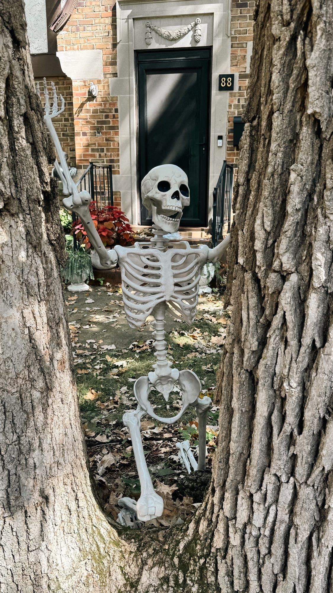 Skeleton peeking between two trees