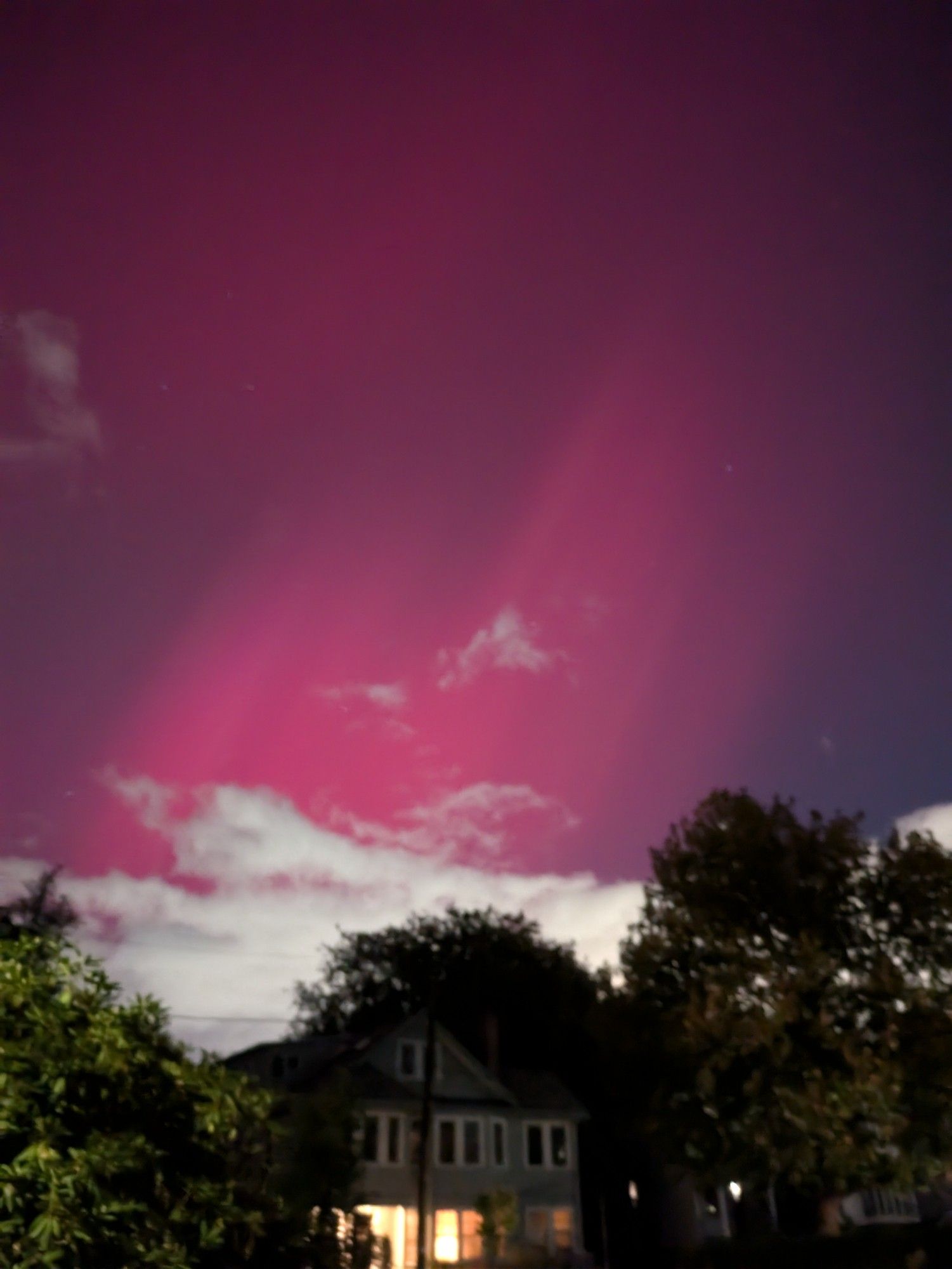 Pink streaks of the northern lights over suburban rooftops, clouds, and trees