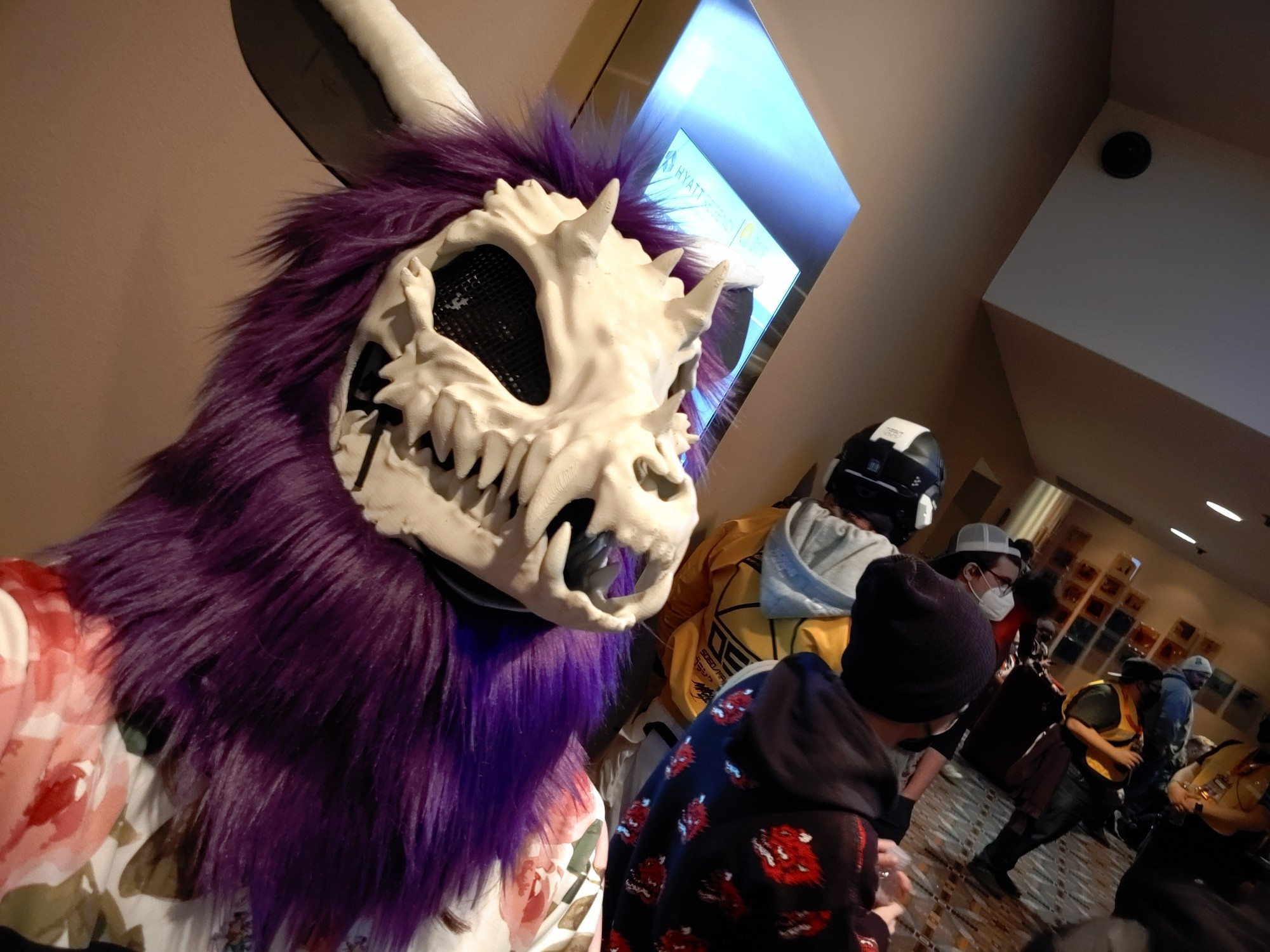 Picture of a foward-facing skulldog fursuit with purple fur, with a small crowd in the background. Suit head made by me