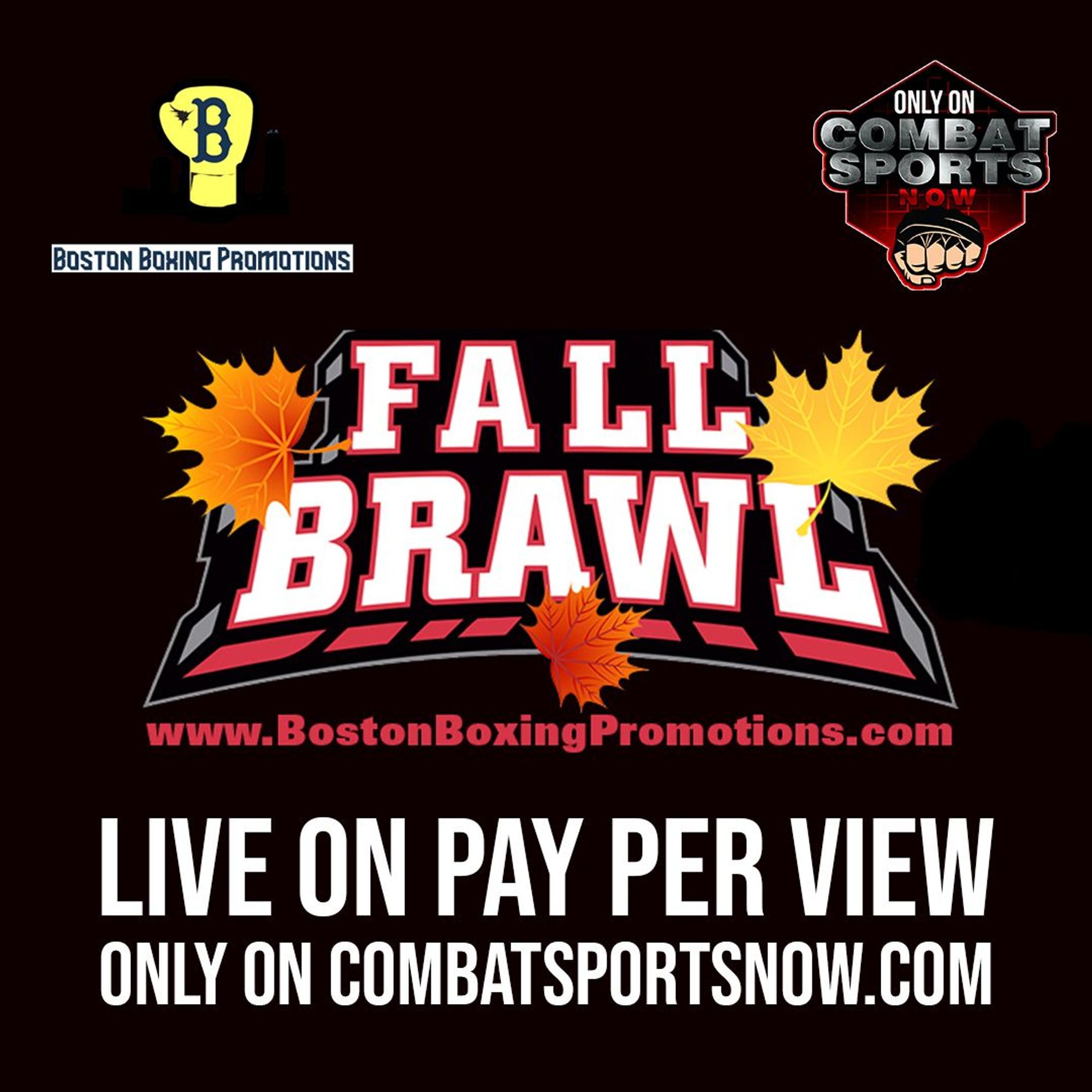 The FallBrawl has commenced! Watch Boston Boxing Fall Brawl, right now, only on combatsportsnow.com