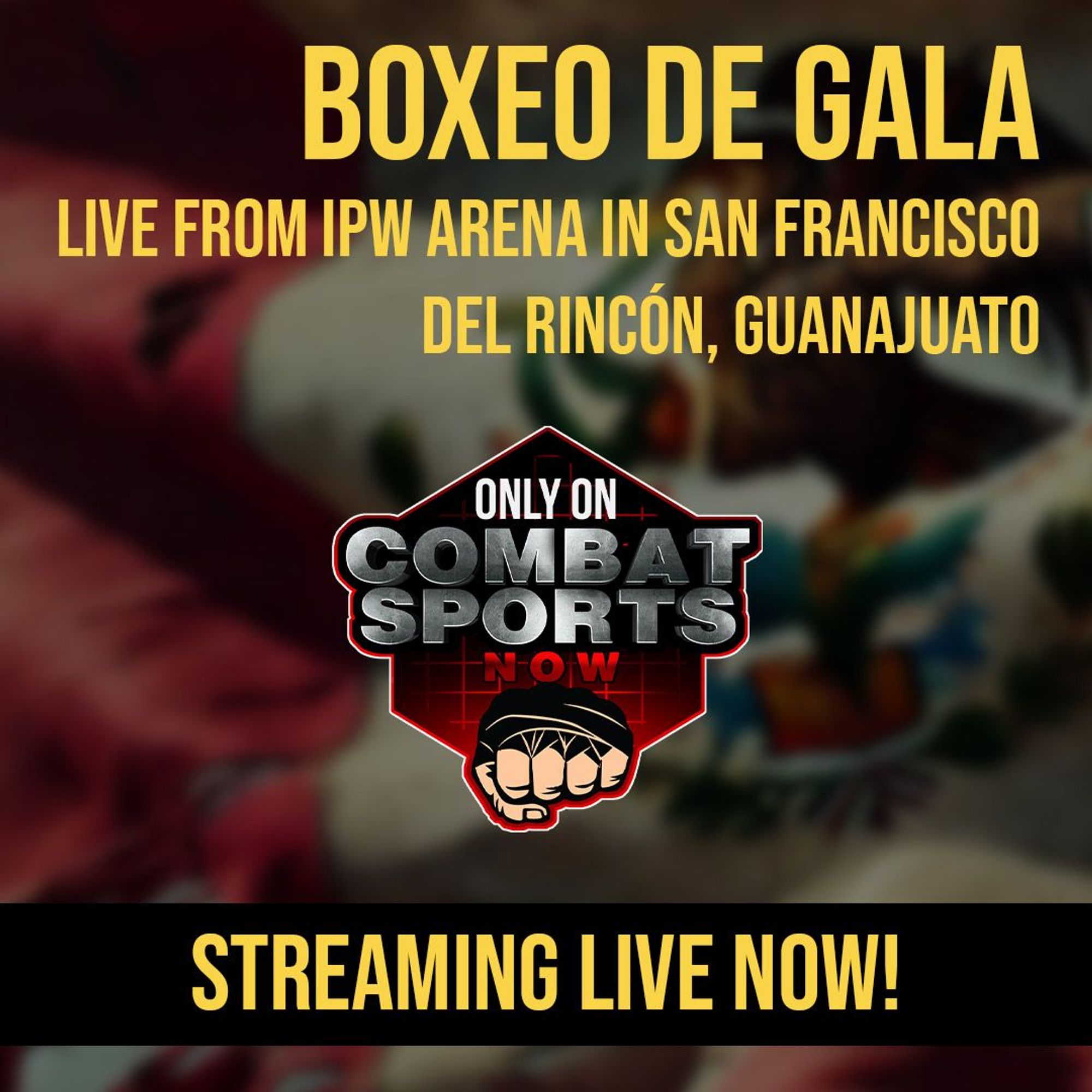 Boxeo de Gala XVI is live NOW from Mexico!  Tune in and catch all the pro boxing action.