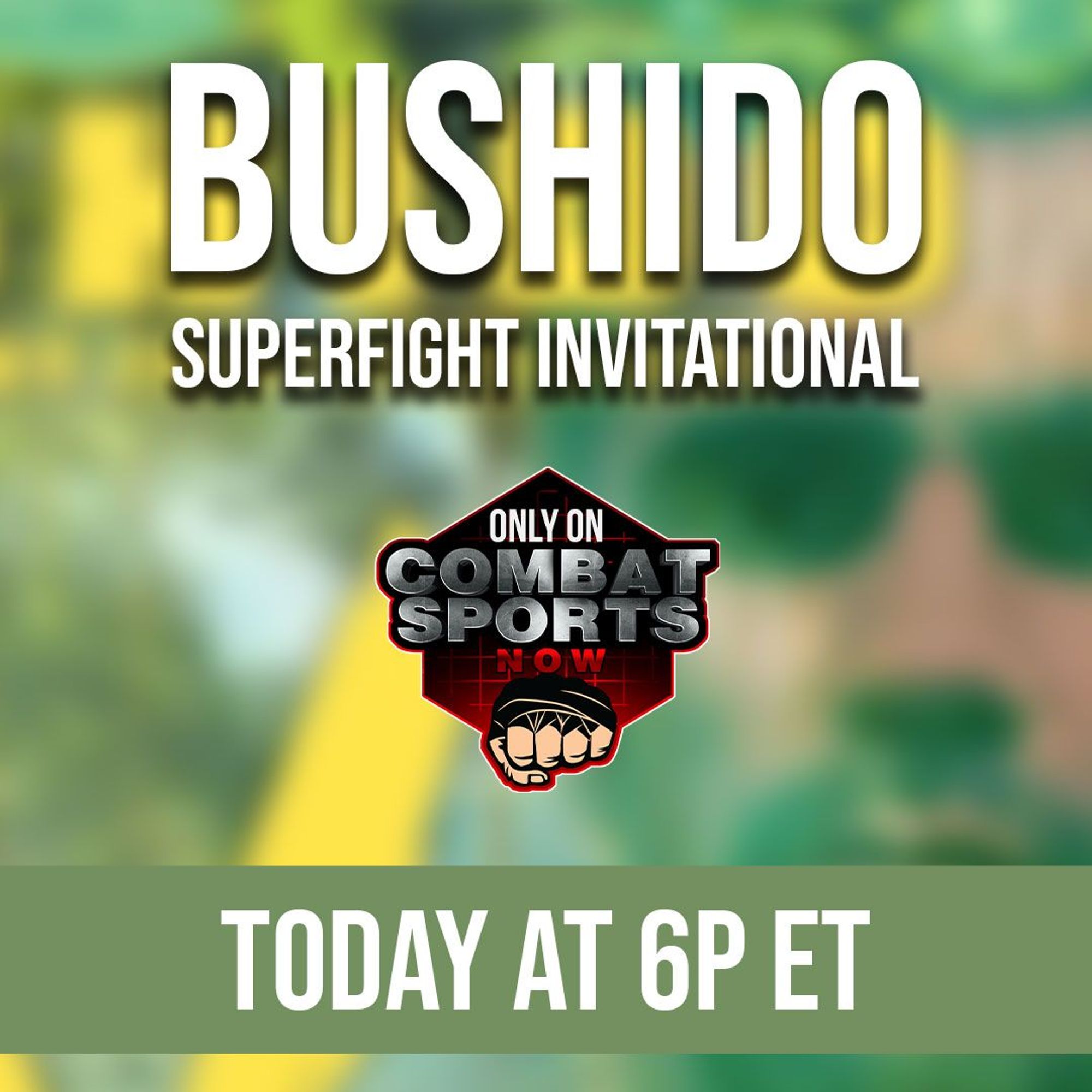 Bushido Superfight Invitational presents: Bushido Superfight Invitational 5