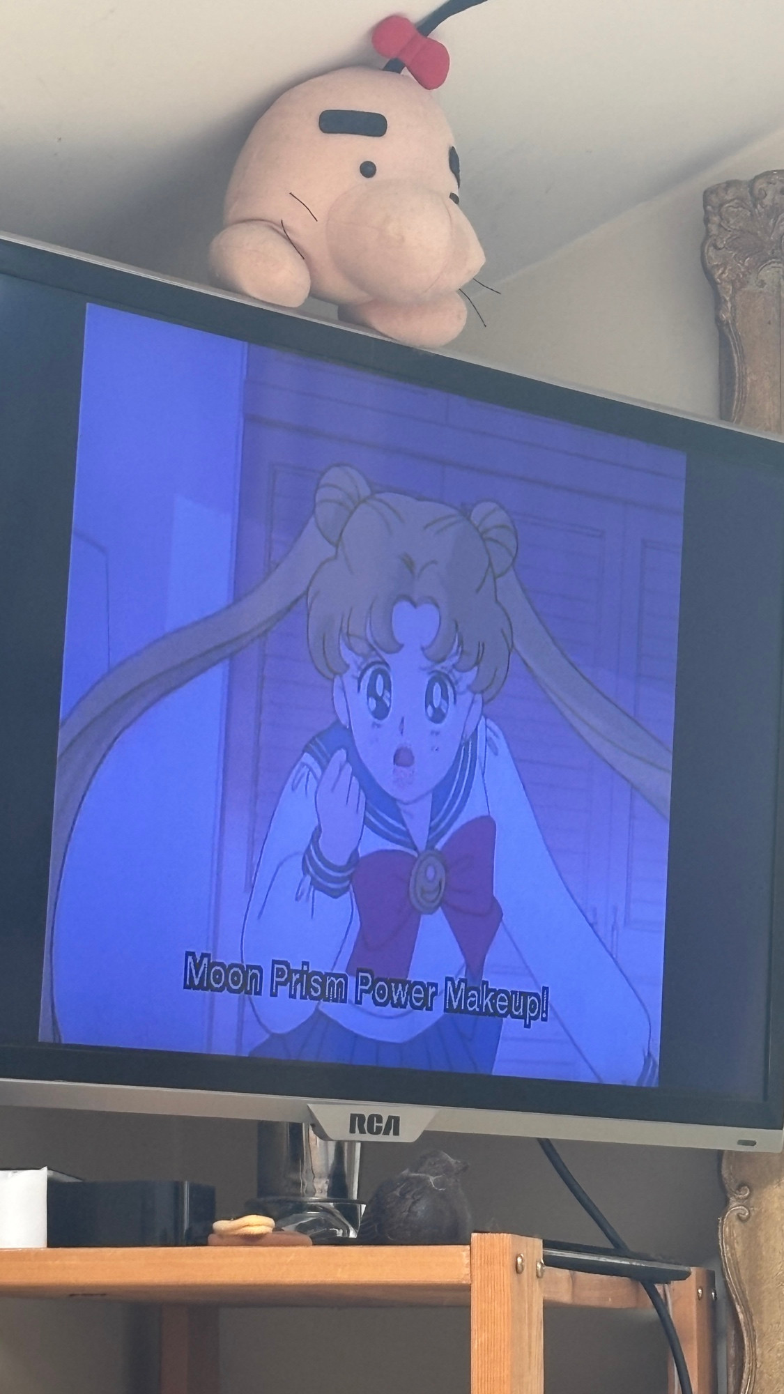 Bootleg Sailor Moon episodes on a tv with a Mr Saturn just hanging out 