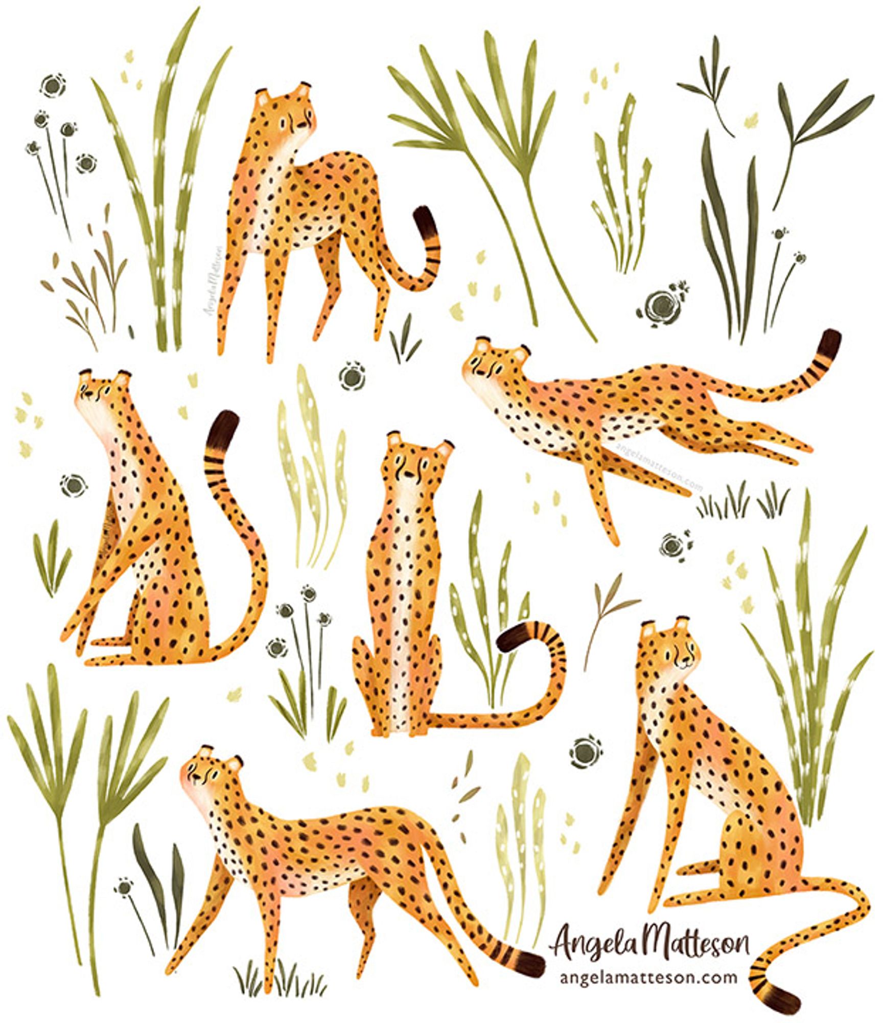 An illustration of cheetahs in various poses.