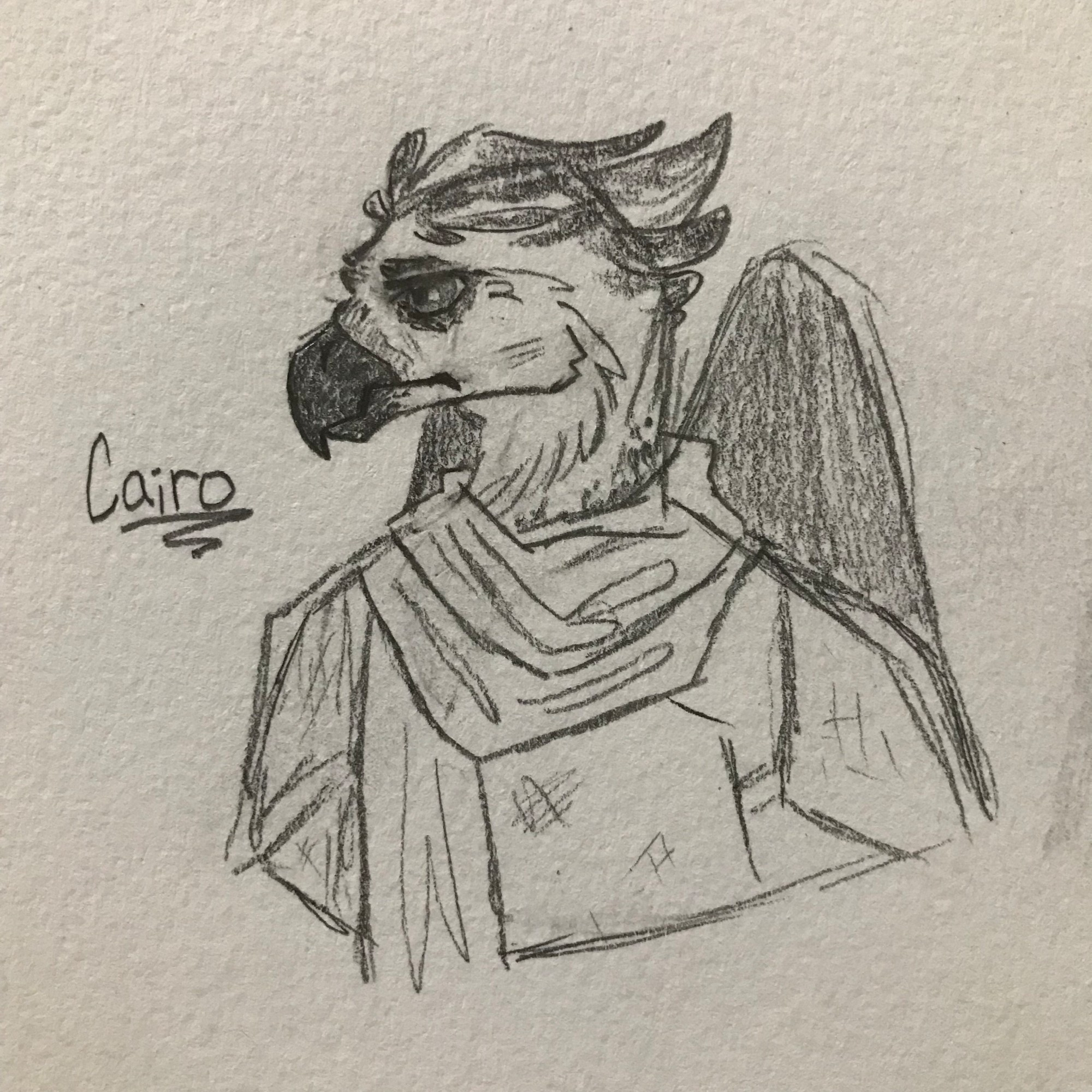 A bust-shot sketch of a harpy eagle aarakocra. His name, Cairo, is written to the left of him. He has dark eyes and a dark beak, dark gray markings on the tips of the feathers on top of his head, around his eyes, and at the base of his neck, and he has a slightly worried look on his face. He wears a scarf and leather armor.