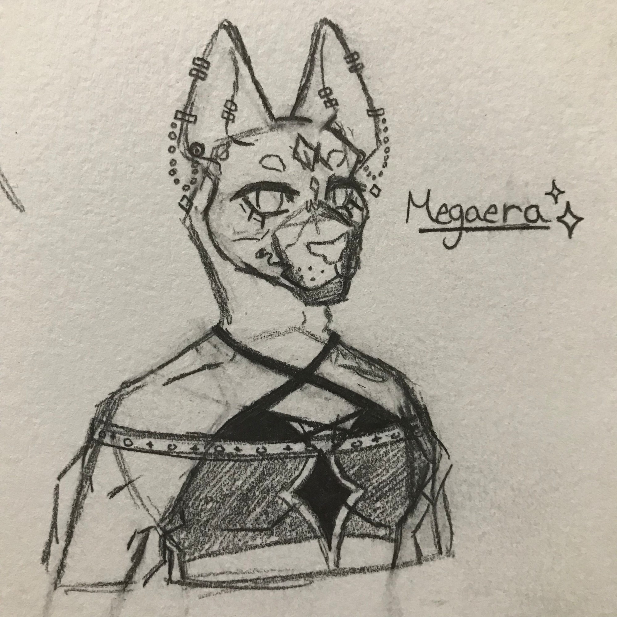 A bust-shot sketch of a sphynx cat tabaxi. Her name, Megaera is written to the right of her, and has little stars beside it. She has large ears with various piercings, a diamond-shaped marking on her forehead, thick eyeliner around her eyes, which have a sly look in them, and a long face with a similarly sly smile. She wears a black bra and a translucent, flowy shirt that sits across her arms. The shirt has a diamond star-shaped hole cut out of the center over her chest.