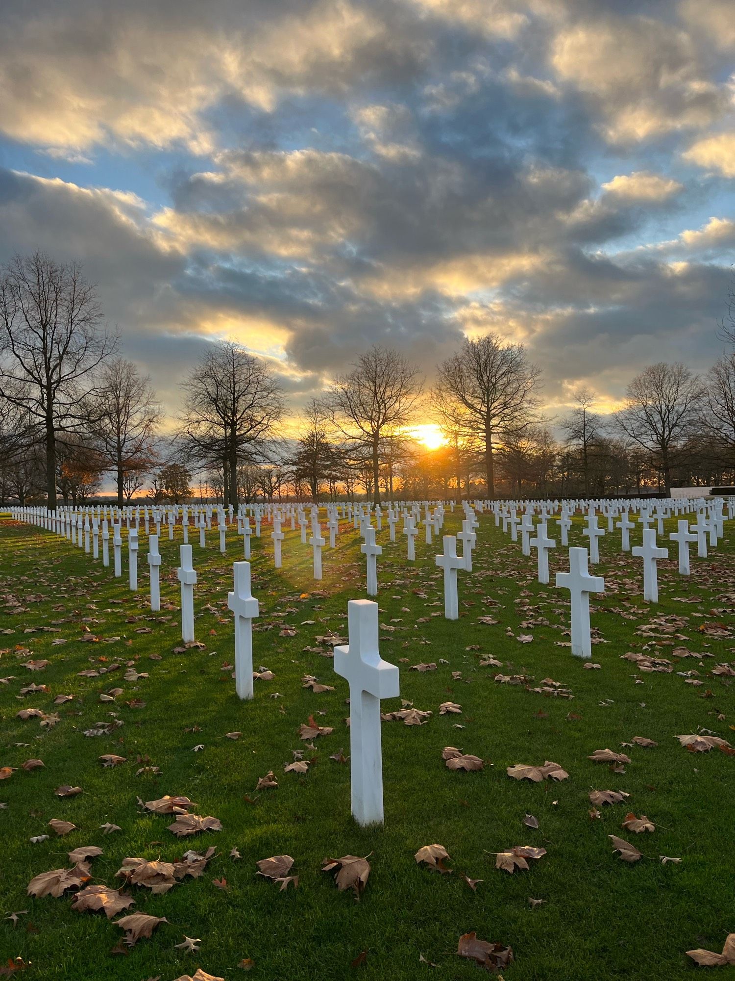 Amerikaans Militaire Kerkhof Margraten : witte kruisjes