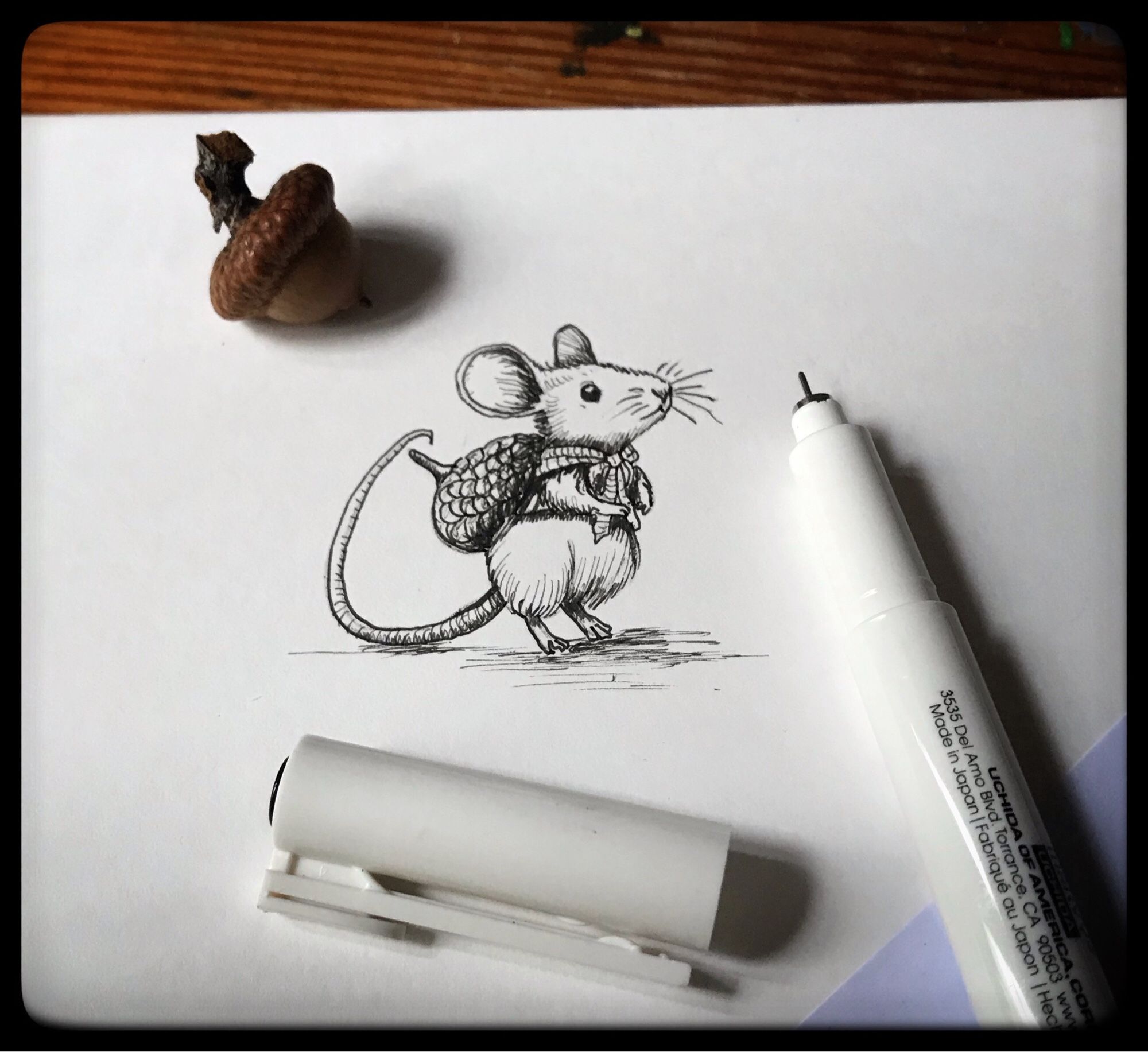 A small pen drawing of a mouse with an acorn shell backpack.