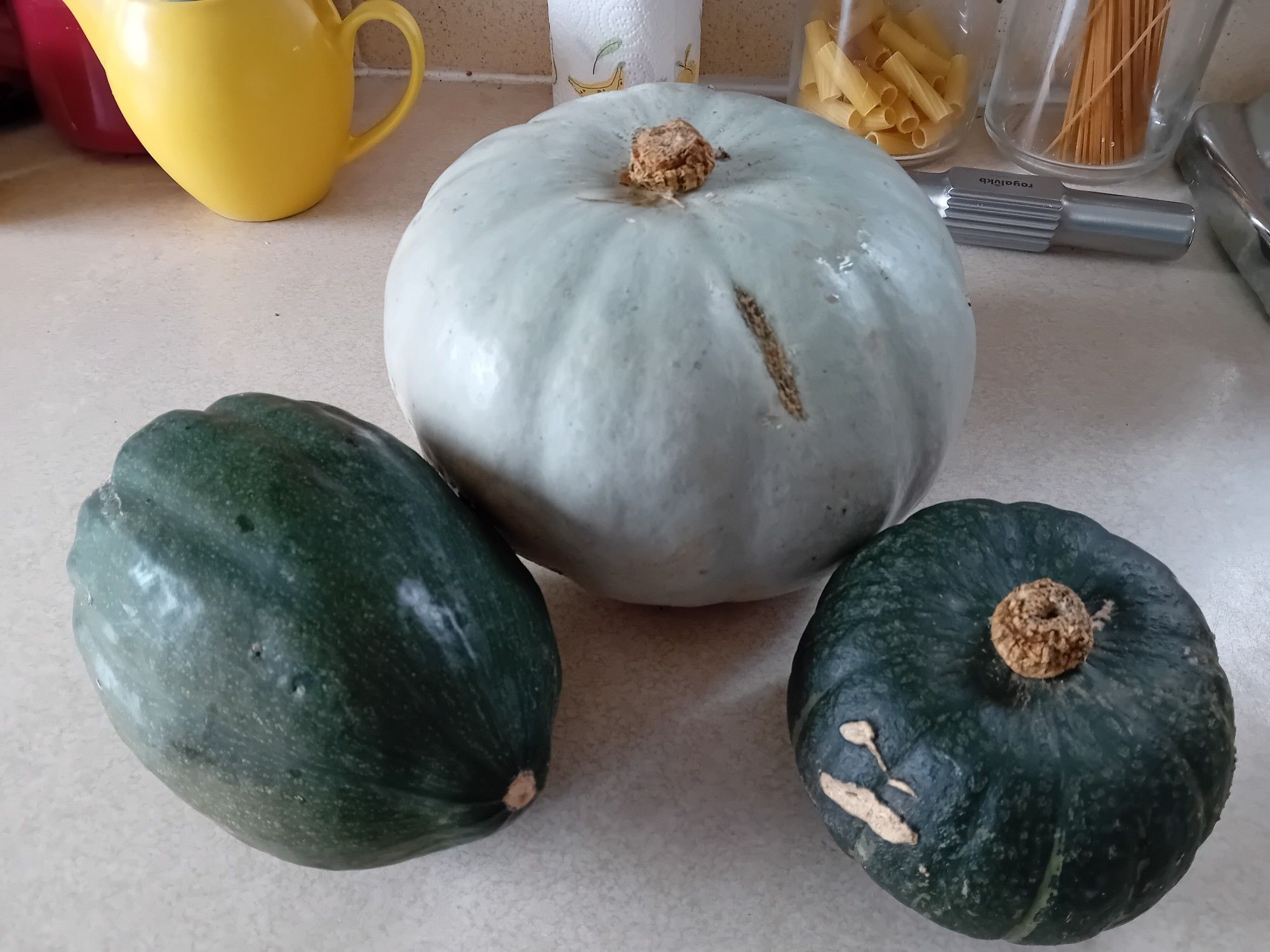 3 autumn squashes. One is small, dark green & round, one is an acorn squash (but the grooves are small, so it will peel easily) and the large one is a blue squash (the tastiest one).